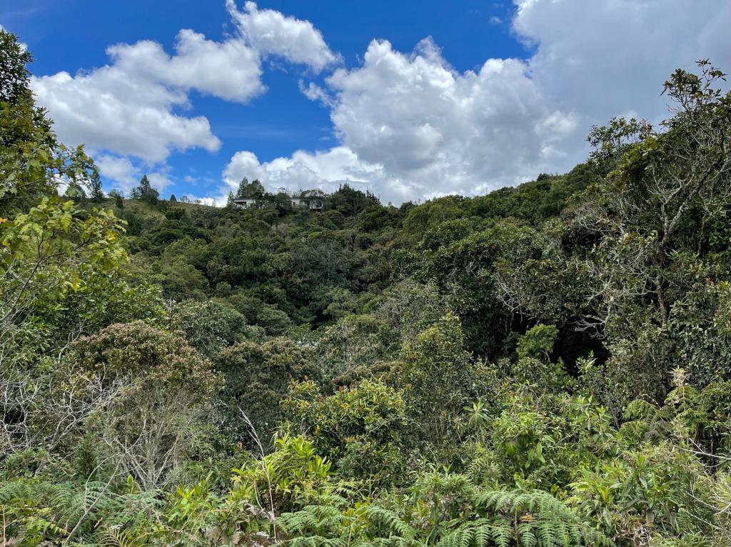 Land in Vía Las Palmas for Sale - 3