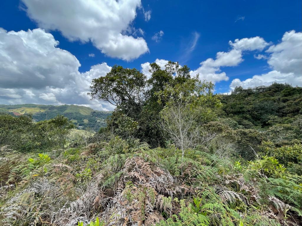 Land in Vía Las Palmas for Sale - 4