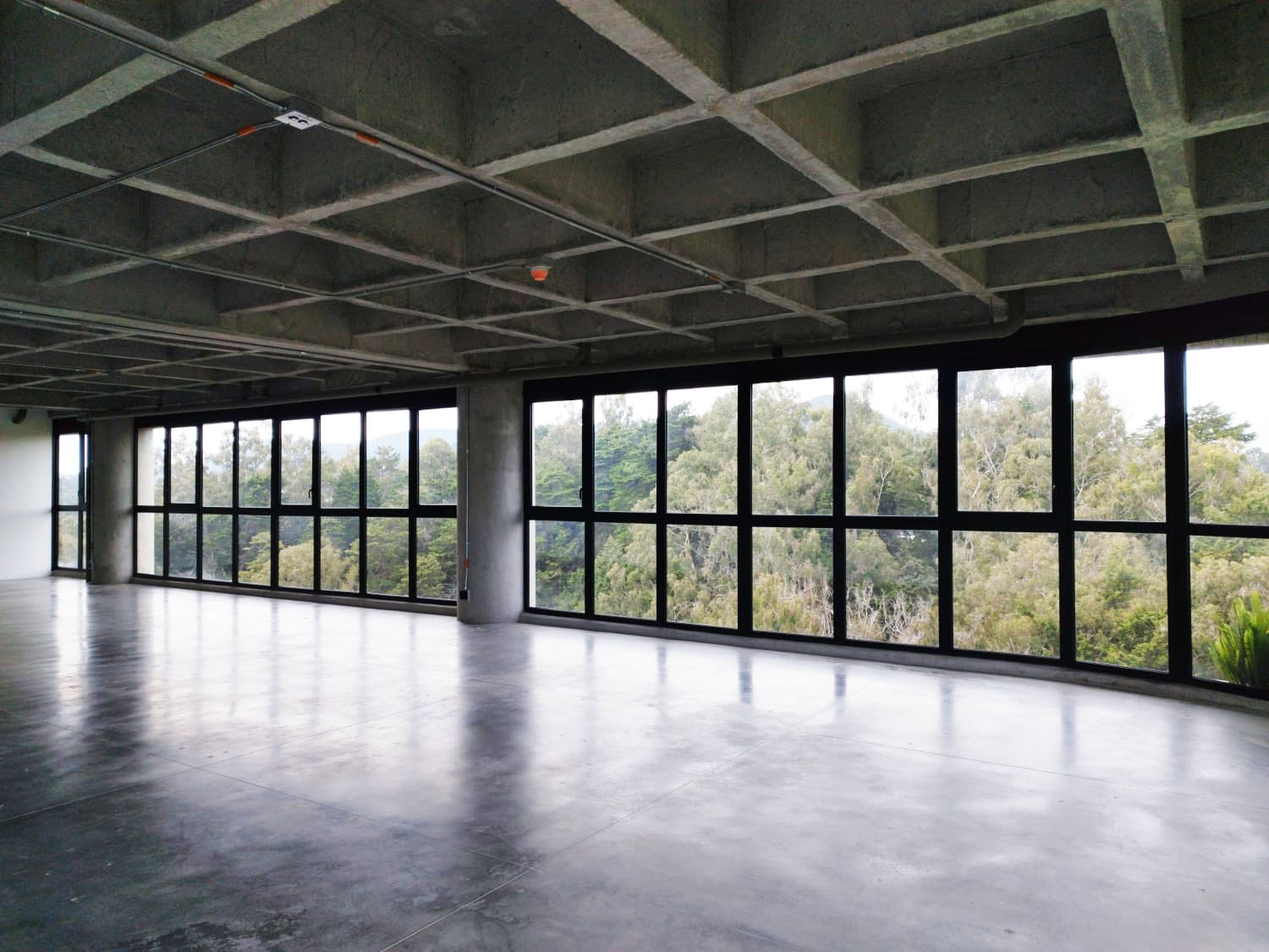 Oficina en arriendo en Vía Las Palmas, Envigado, 385 m² · foto 7 de 15