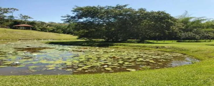 Lote en venta en Porerito, Jamundí, 1384 m² · foto 18 de 24