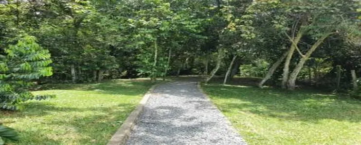 Lote en venta en Porerito, Jamundí, 1384 m² · foto 20 de 24