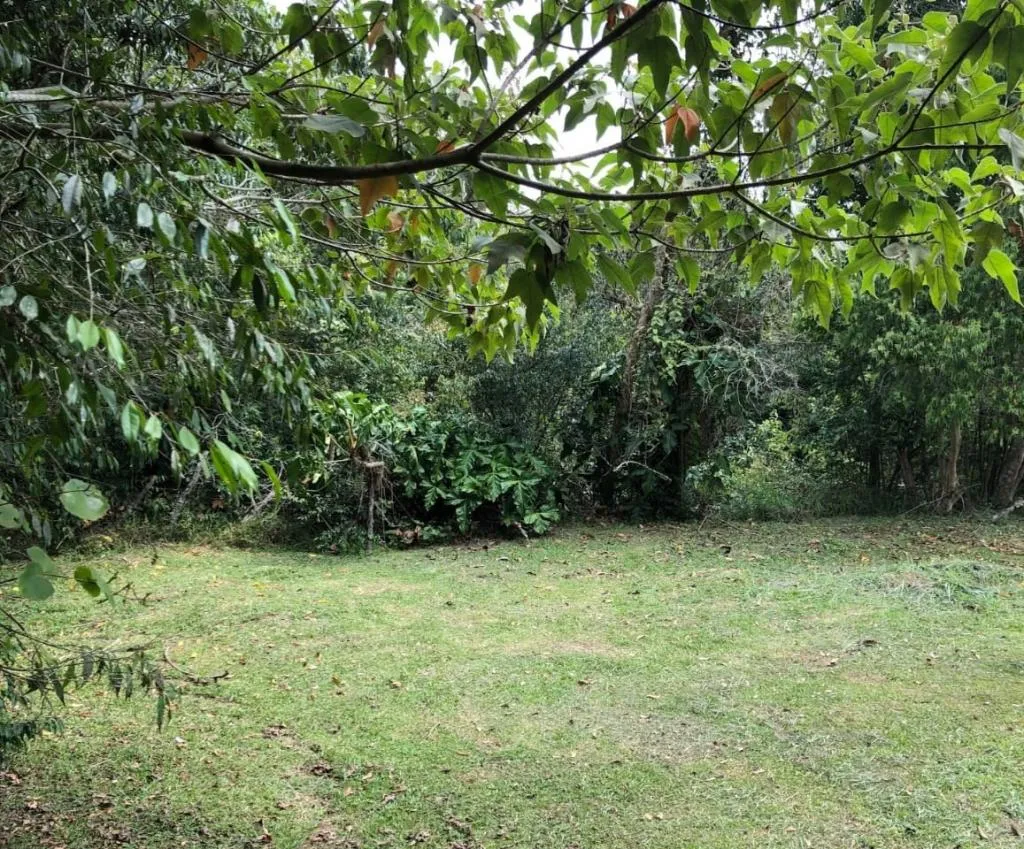 Lote en venta en Porerito, Jamundí, 1384 m² · foto 9 de 24