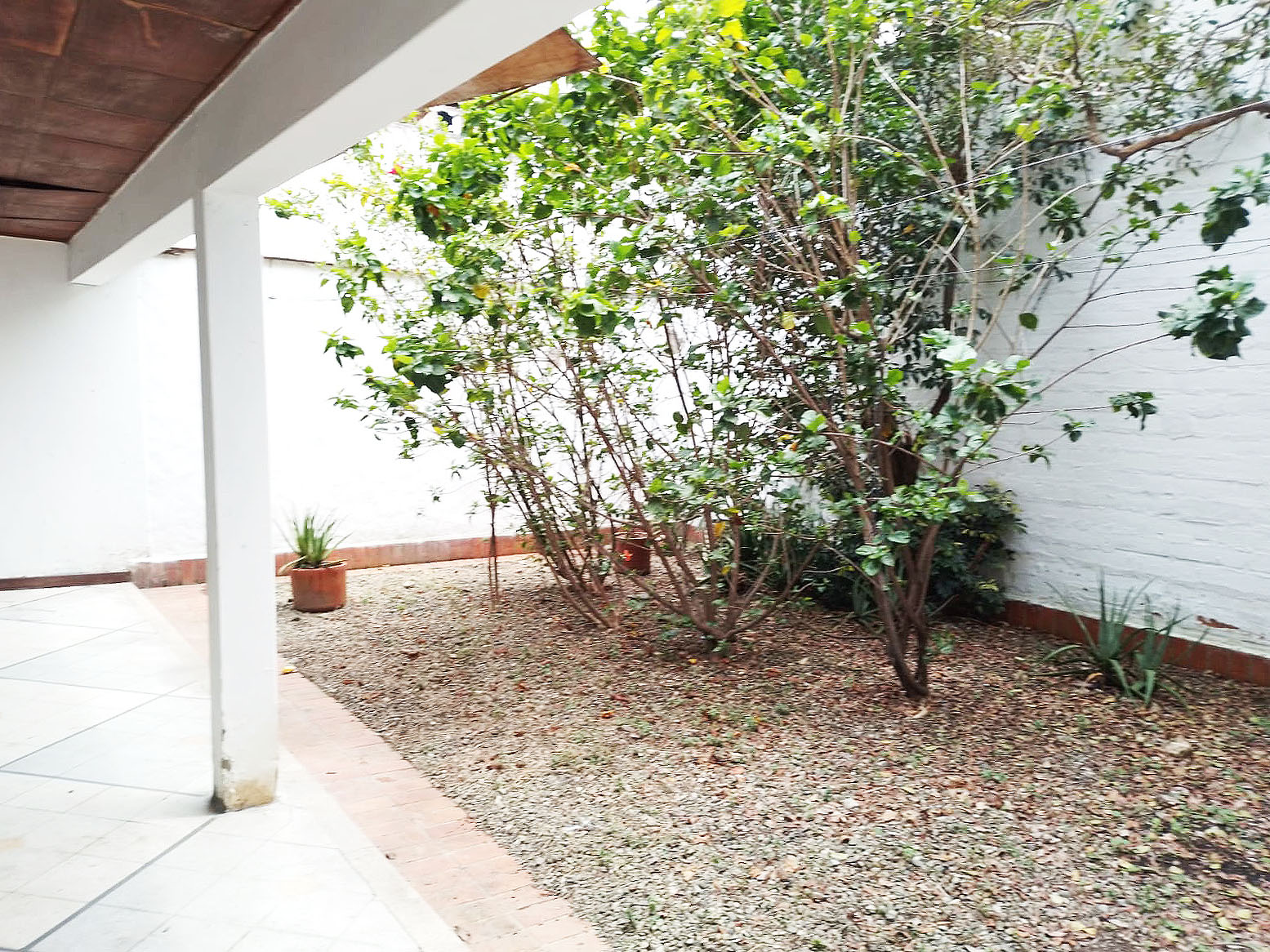 Local en arriendo en La Castellana, Medellín, 340 m² · foto 18 de 19