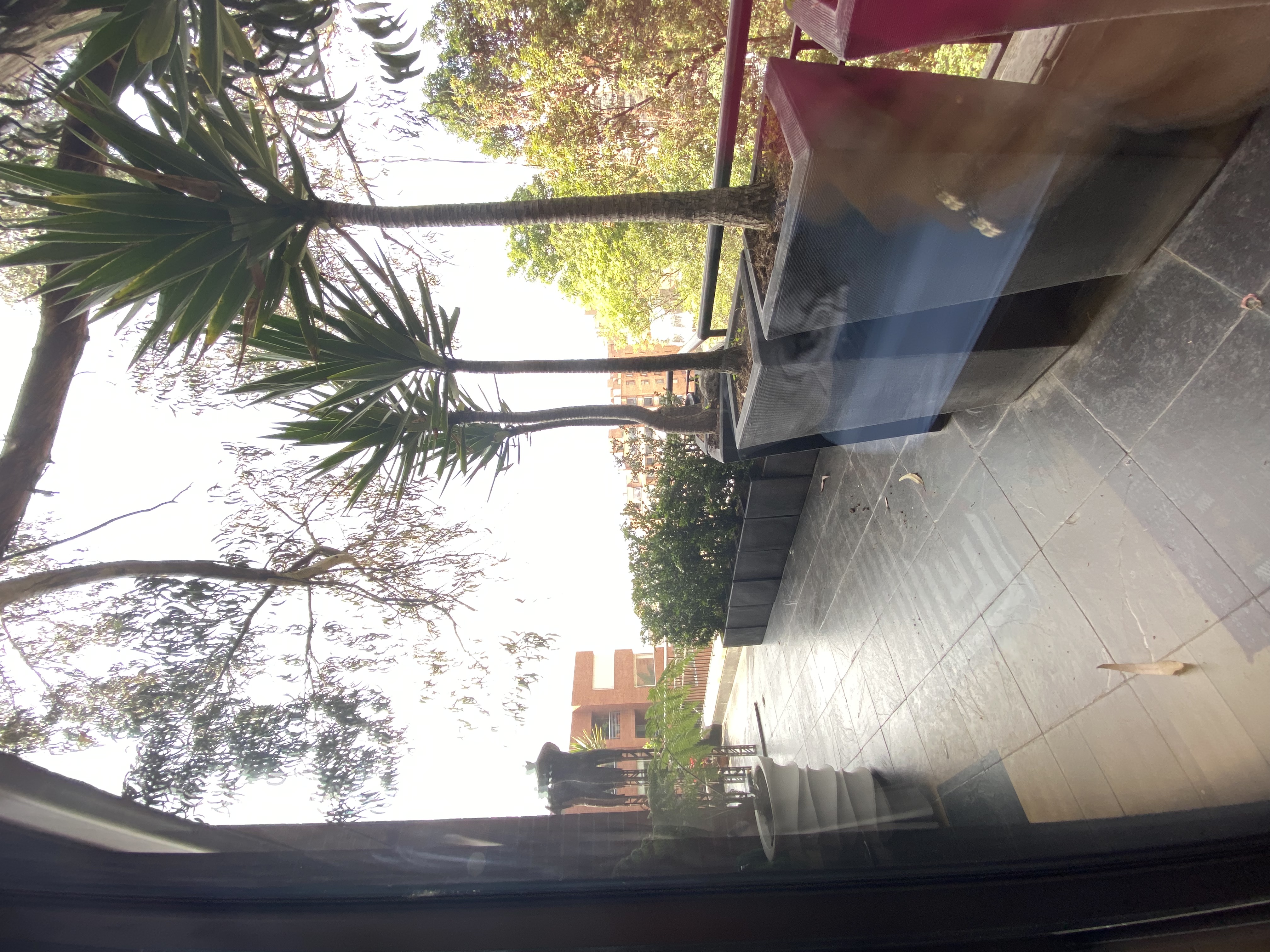 Apartamento en venta en Los Rosales, Bogotá · foto 20 de 24