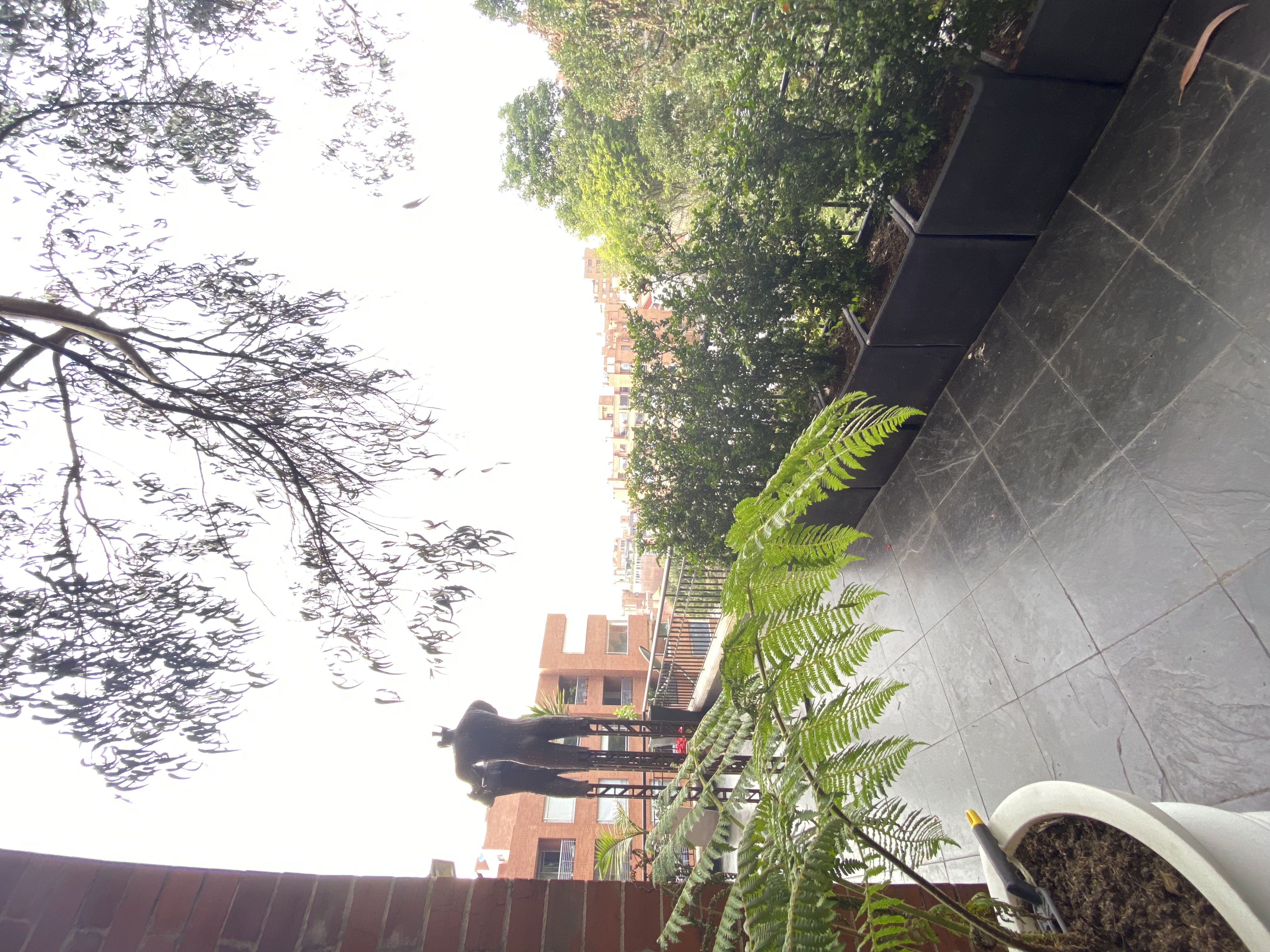 Apartamento en venta en Los Rosales, Bogotá · foto 21 de 24