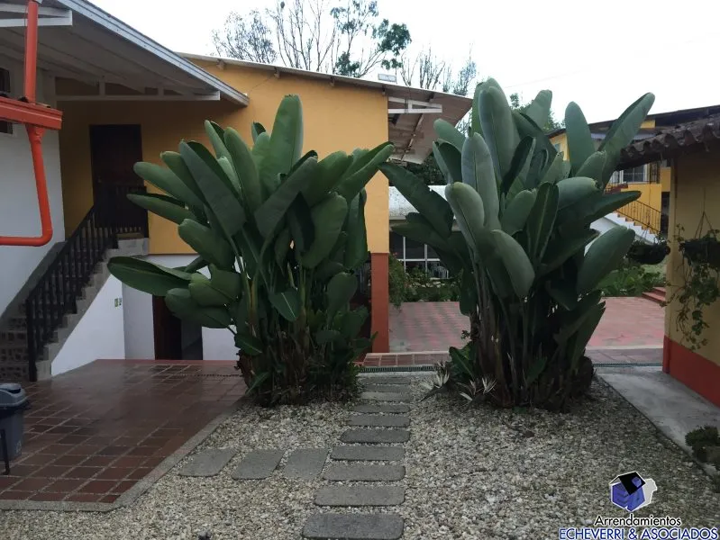 Casa de 15 alcobas en venta en Centro, Rionegro · foto 15 de 24