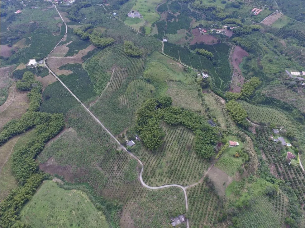 Finca en venta en El Caimo, Armenia · foto 2 de 4