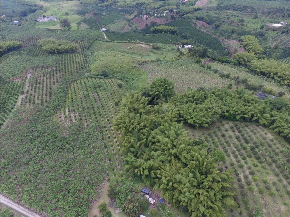 Finca en venta en El Caimo, Armenia · foto 4 de 4