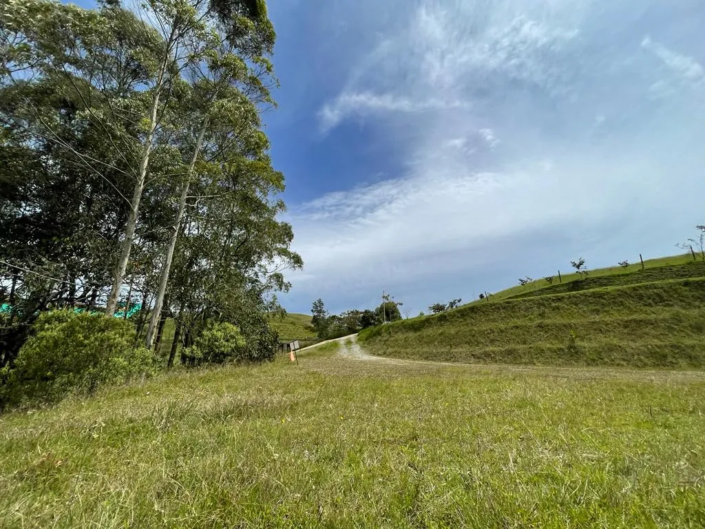 Lote en venta en Pantanillo, El Retiro, 2850 m² · foto 2 de 7