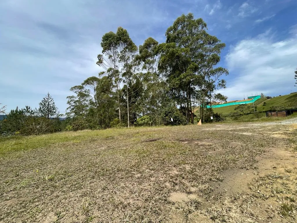 Lote en venta en Pantanillo, El Retiro, 2850 m² · foto 3 de 7