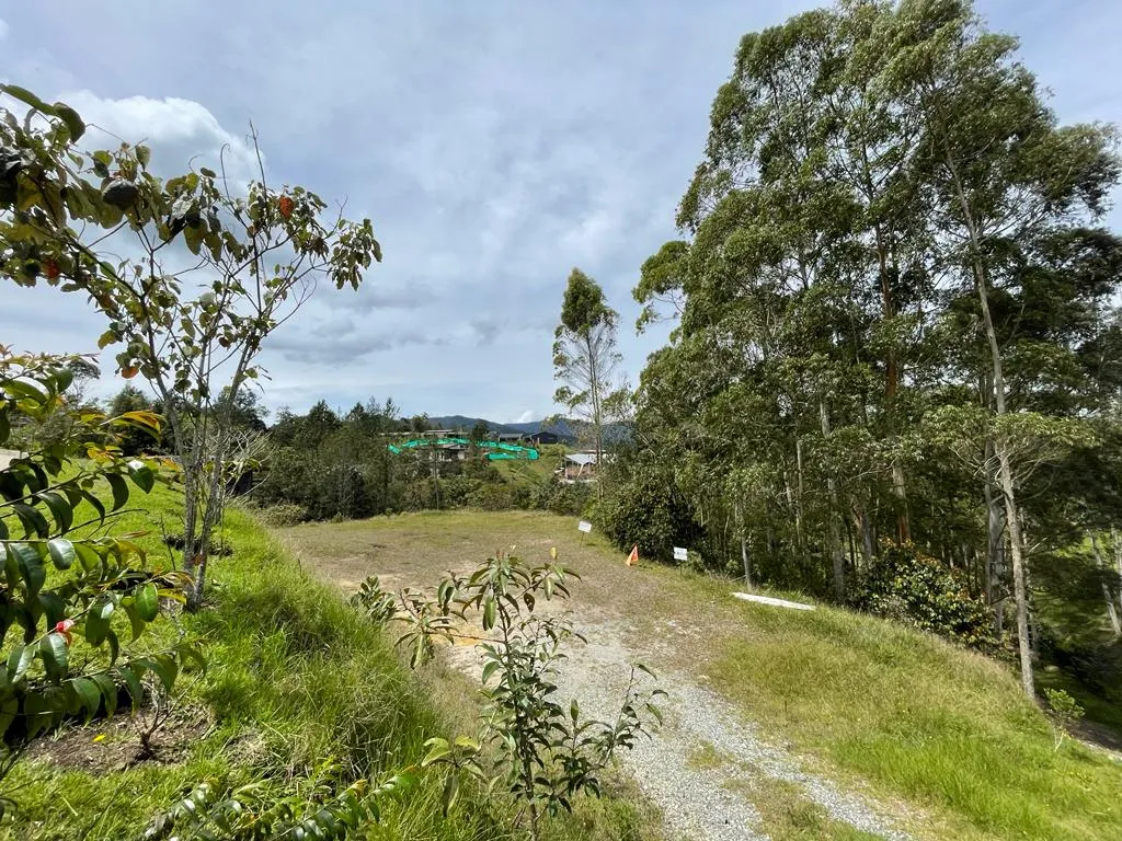 Lote en venta en Pantanillo, El Retiro, 2850 m² · foto 6 de 7