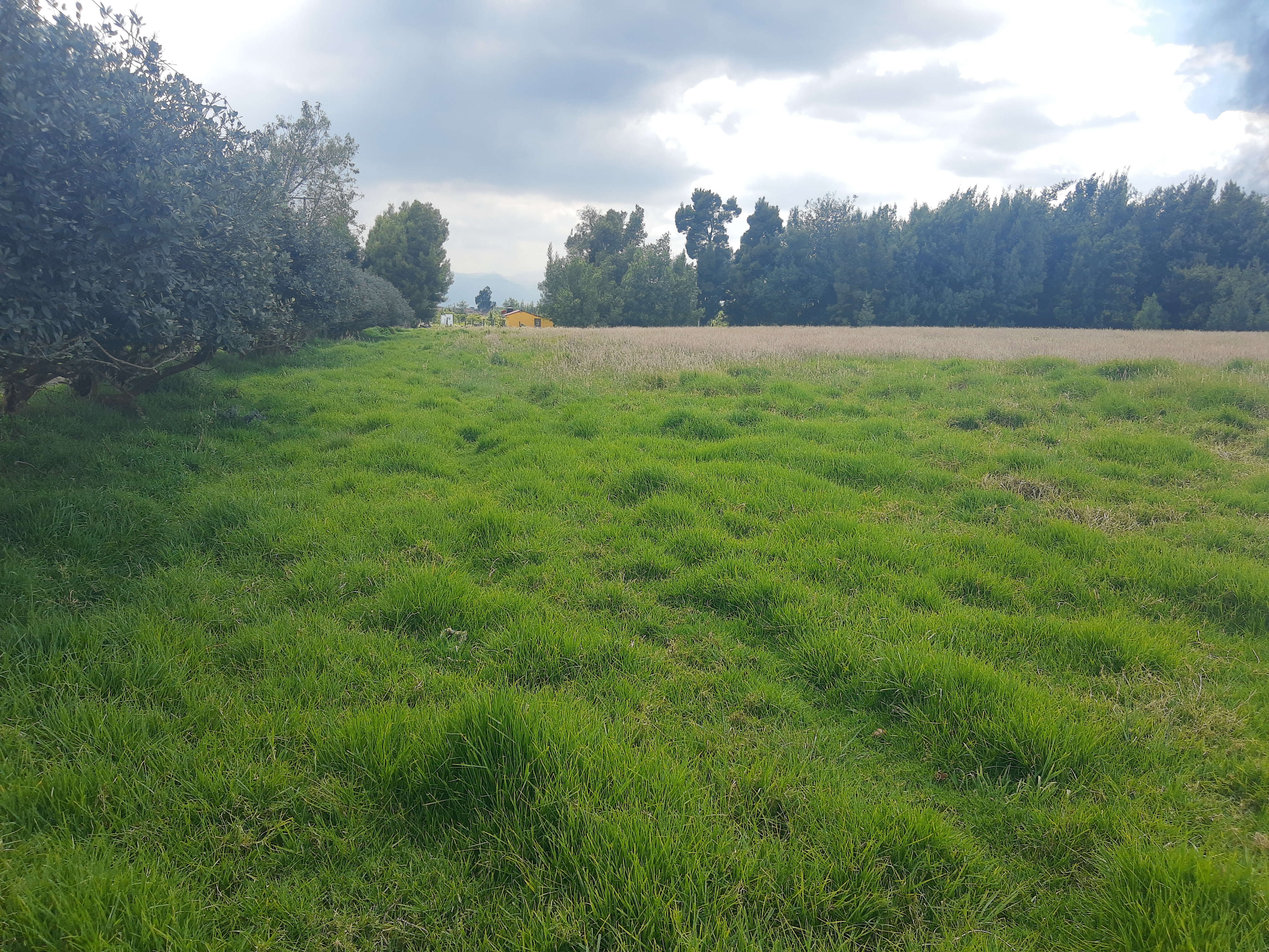Lote en venta en Siberia, Cota, 44000 m² · foto 10 de 10