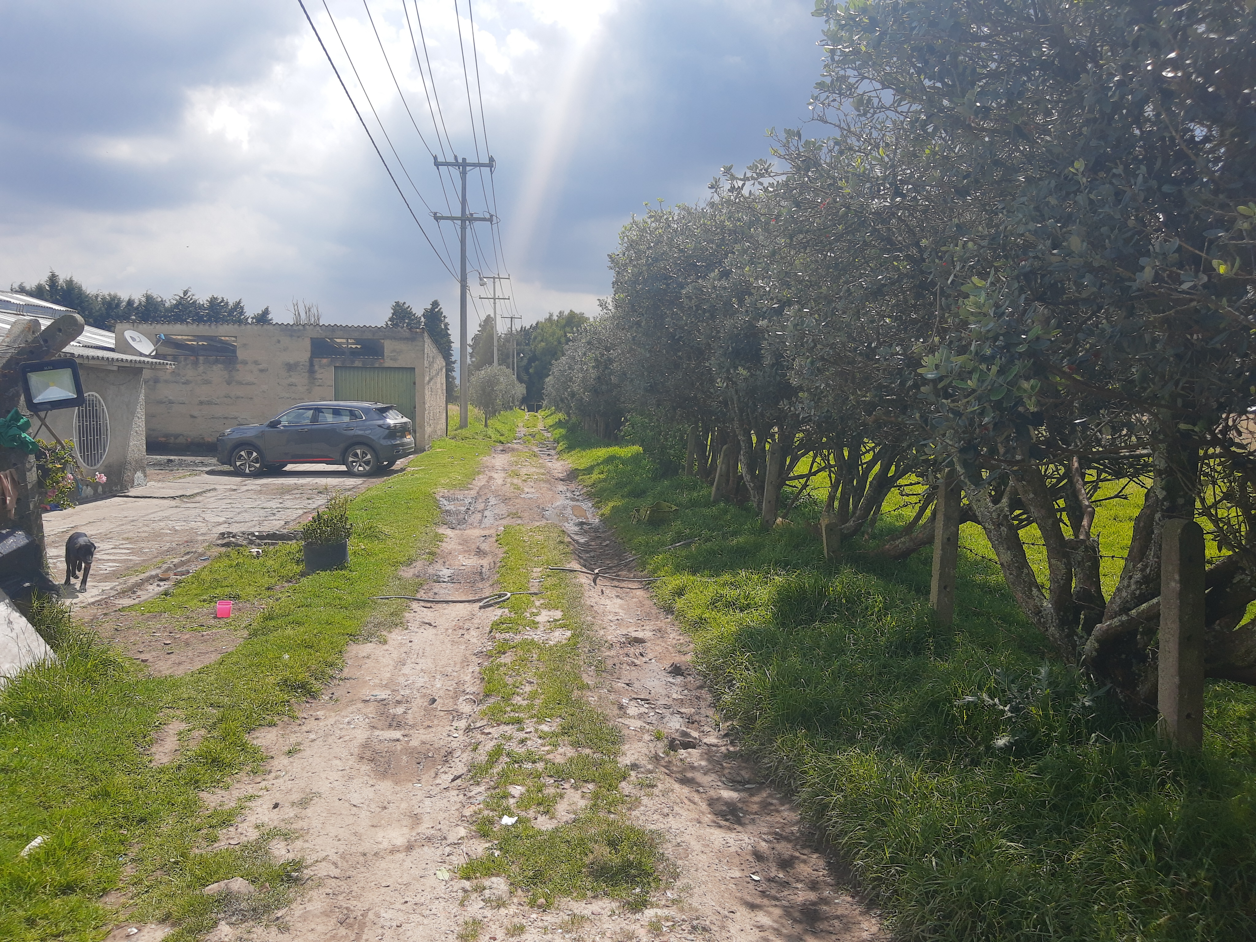 Lote en venta en Siberia, Cota, 44000 m² · foto 3 de 10