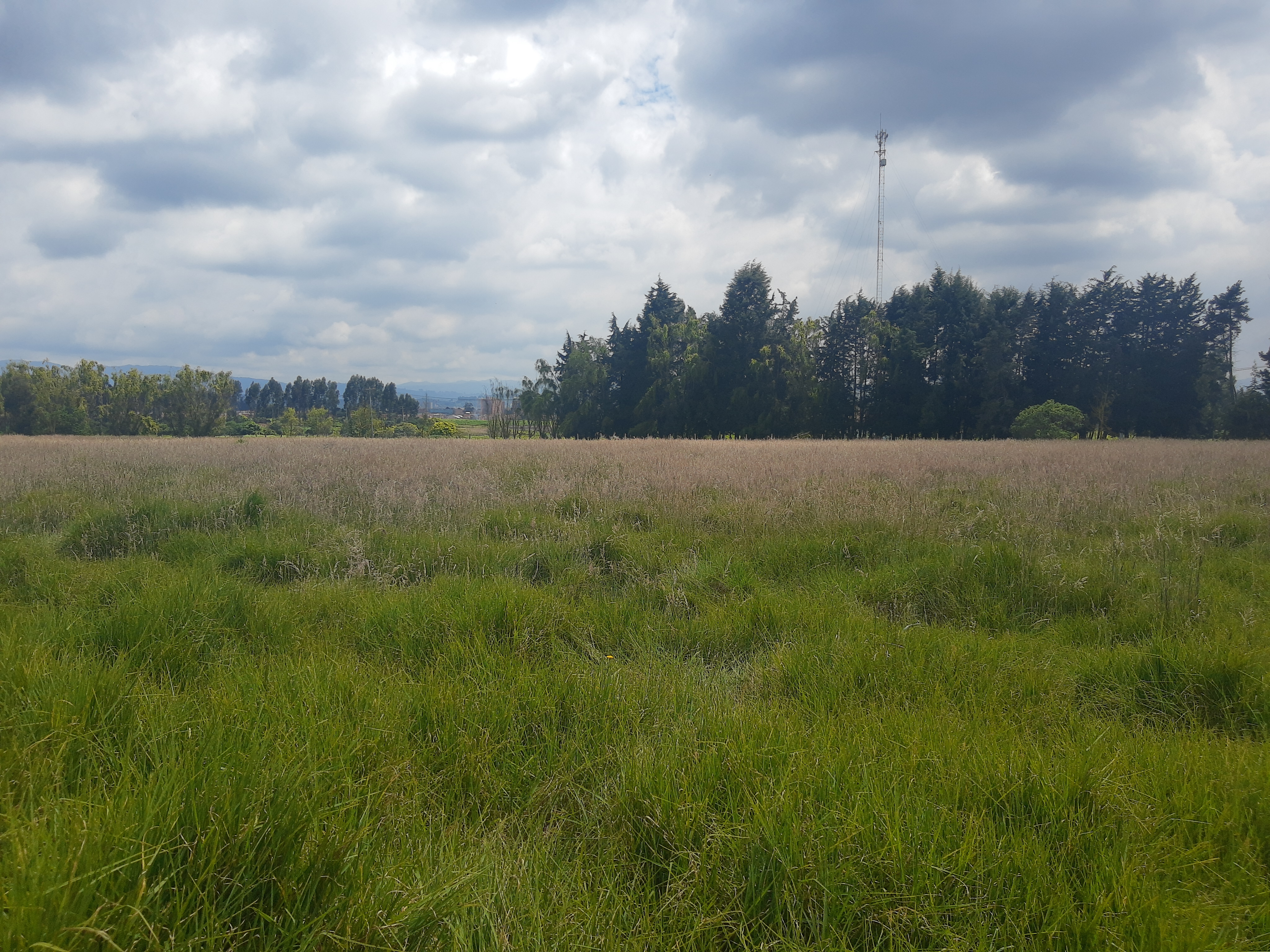 Lote en venta en Siberia, Cota, 44000 m² · foto 4 de 10