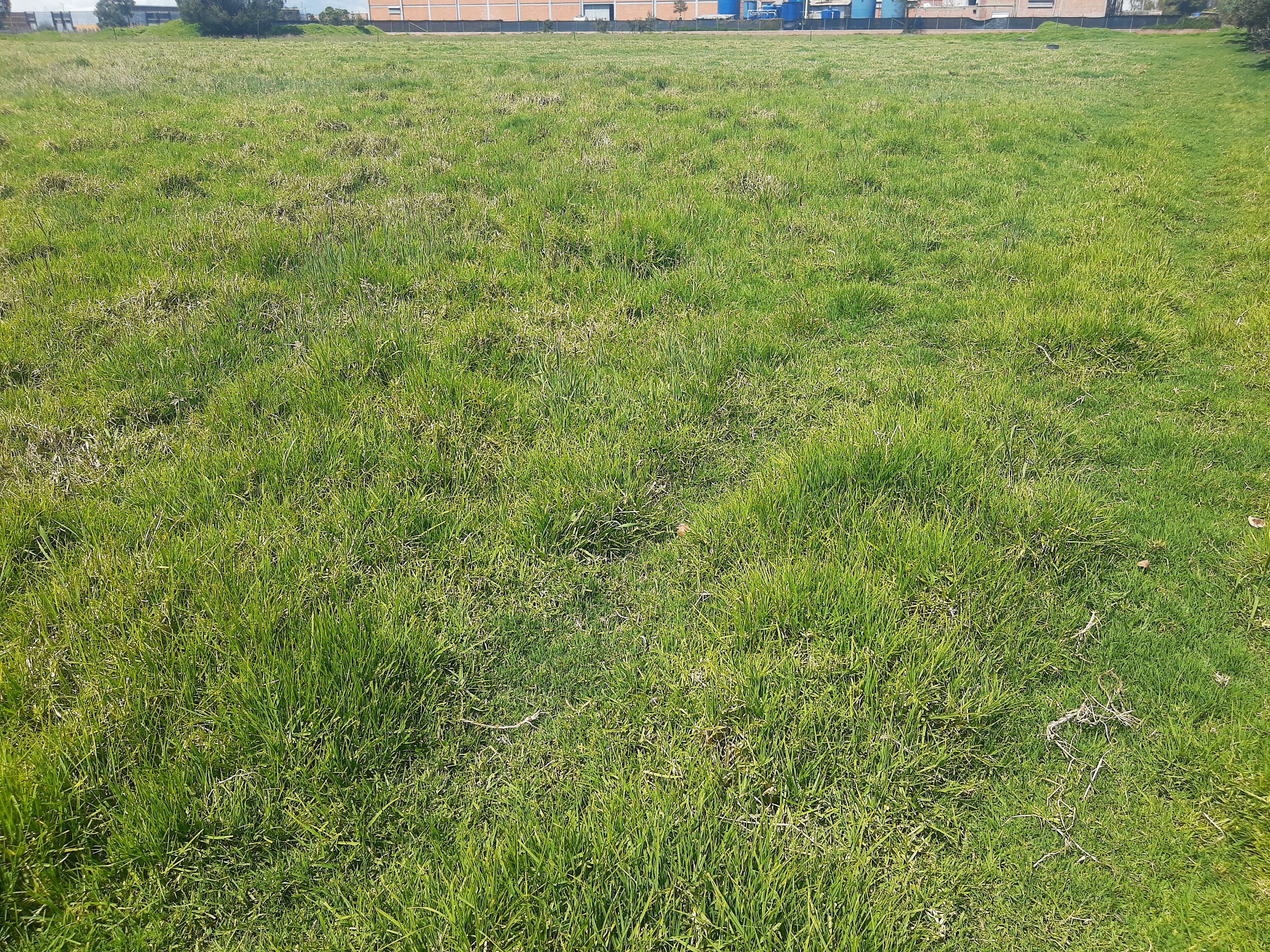 Lote en venta en Siberia, Cota, 44000 m² · foto 7 de 10