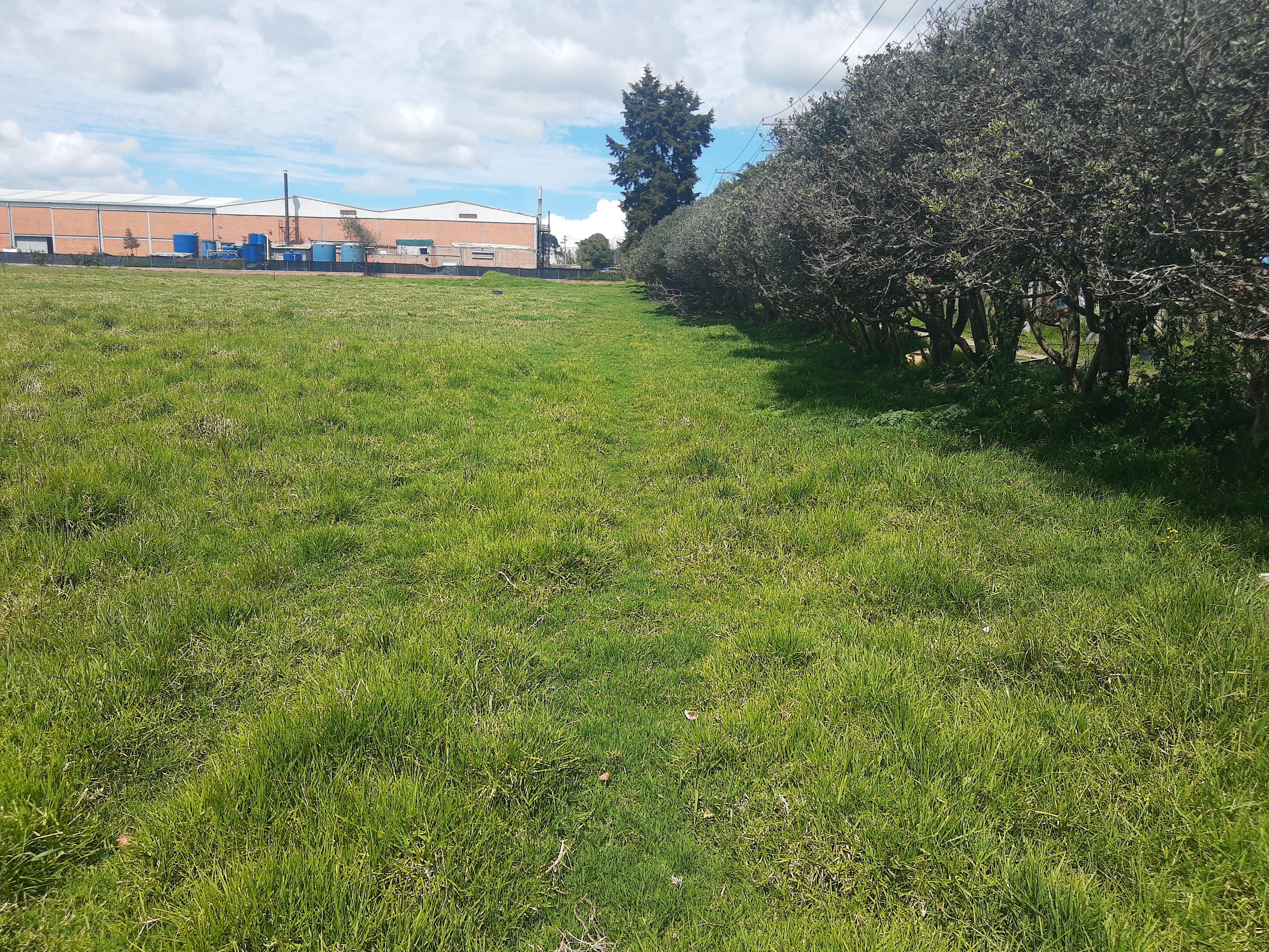 Lote en venta en Siberia, Cota, 44000 m² · foto 8 de 10