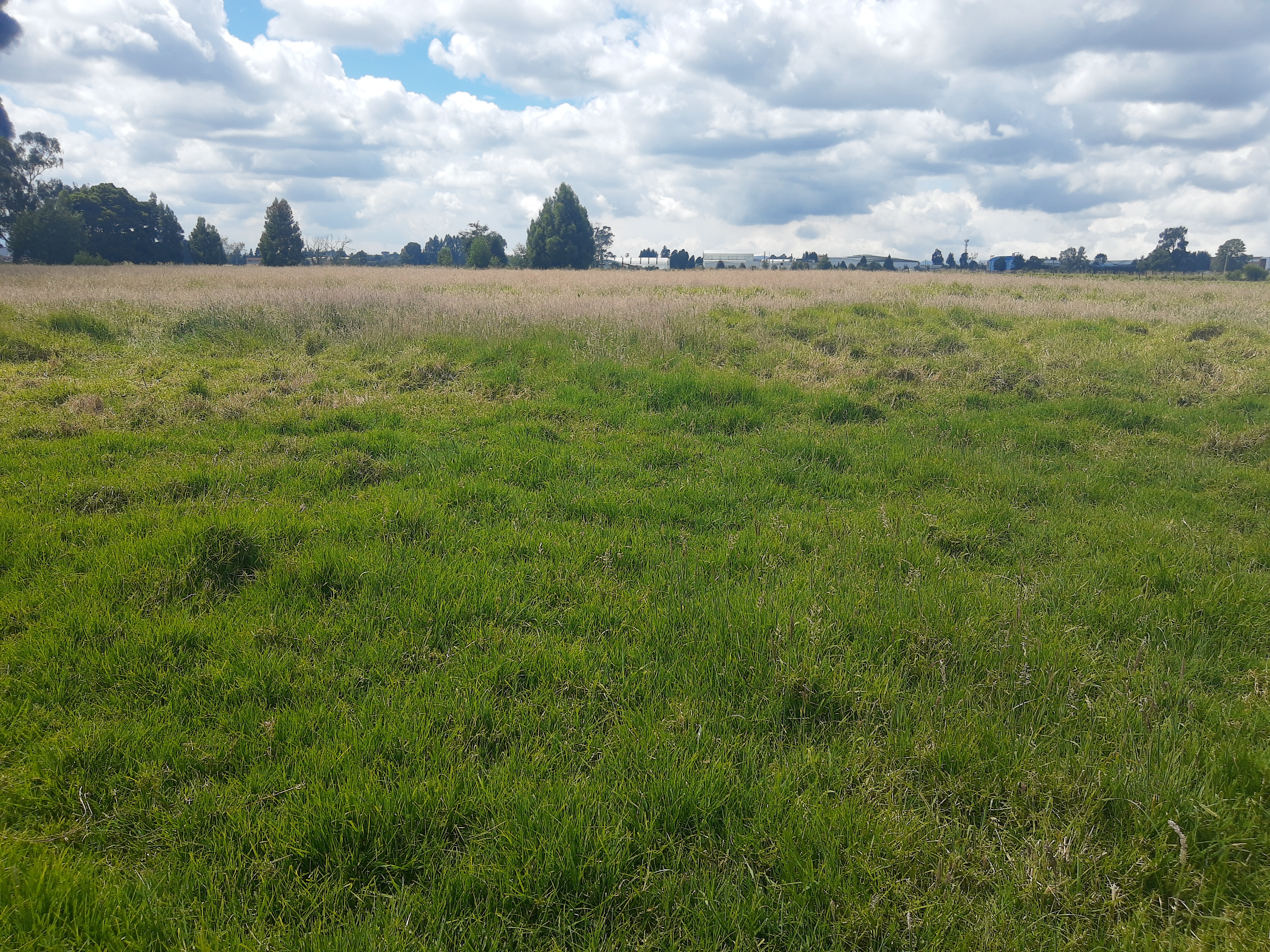 Lote en venta en Siberia, Cota, 44000 m² · foto 9 de 10
