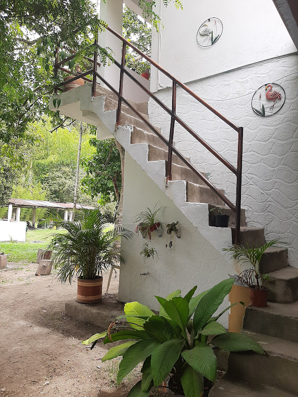 Finca en venta en Bolo - La Italia, Palmira, 6500 m² · foto 2 de 10