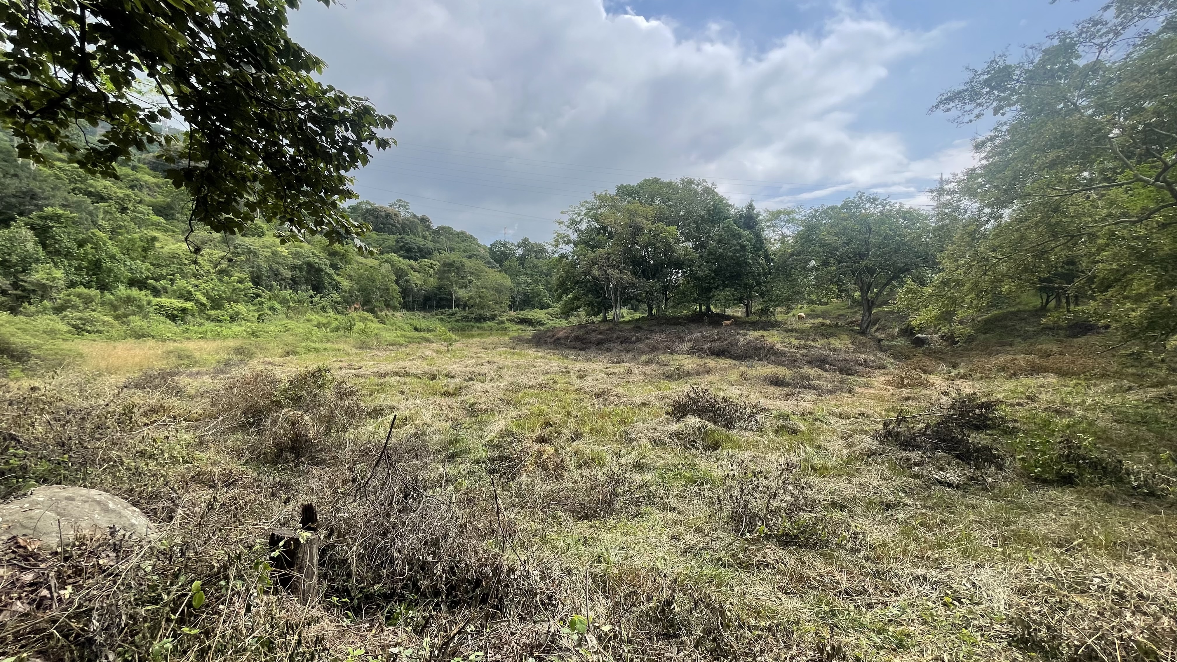 Finca en venta en San Antonio Del Carrizal, Girón · foto 5 de 9