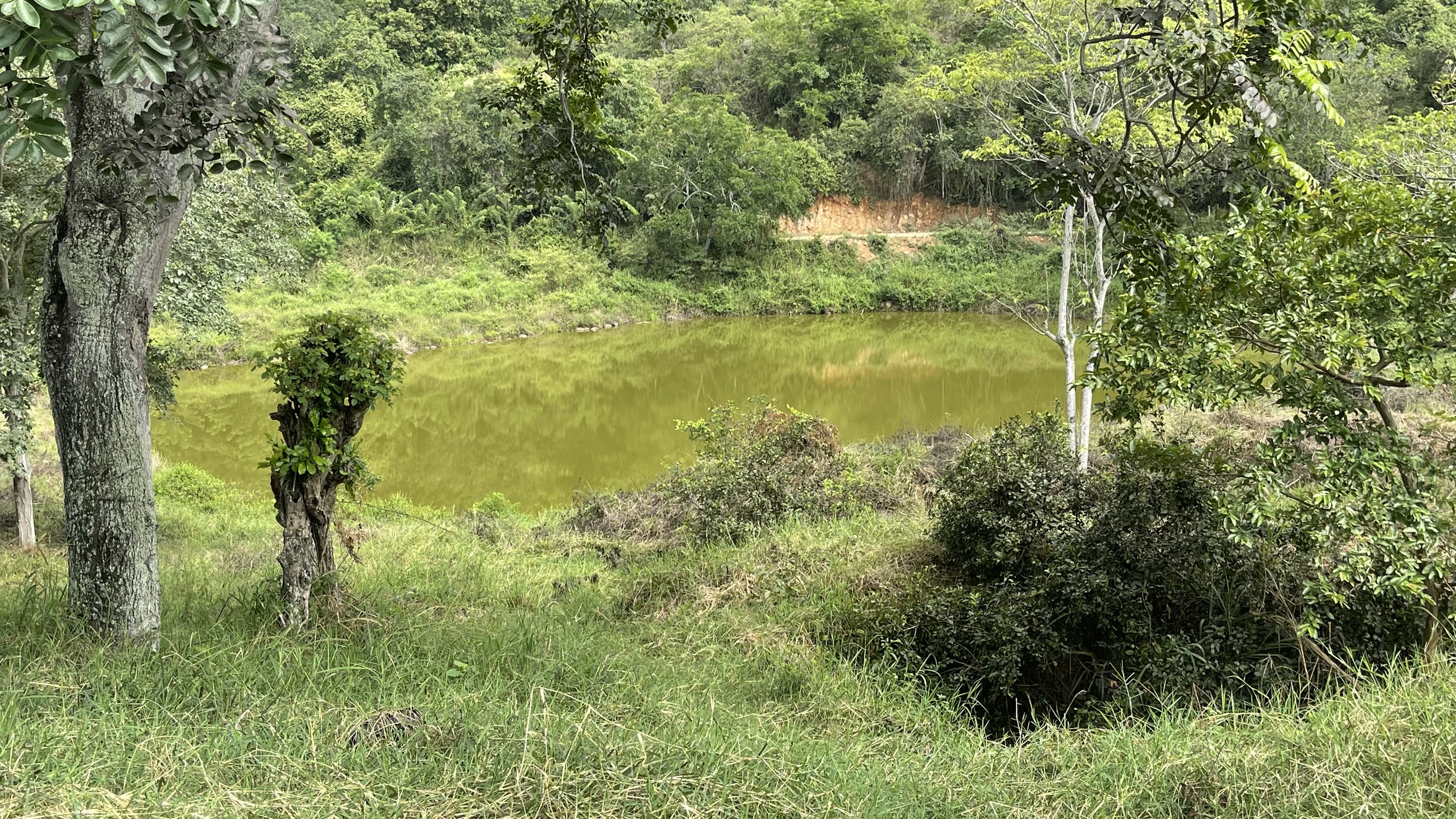 Finca en venta en San Antonio Del Carrizal, Girón · foto 8 de 9