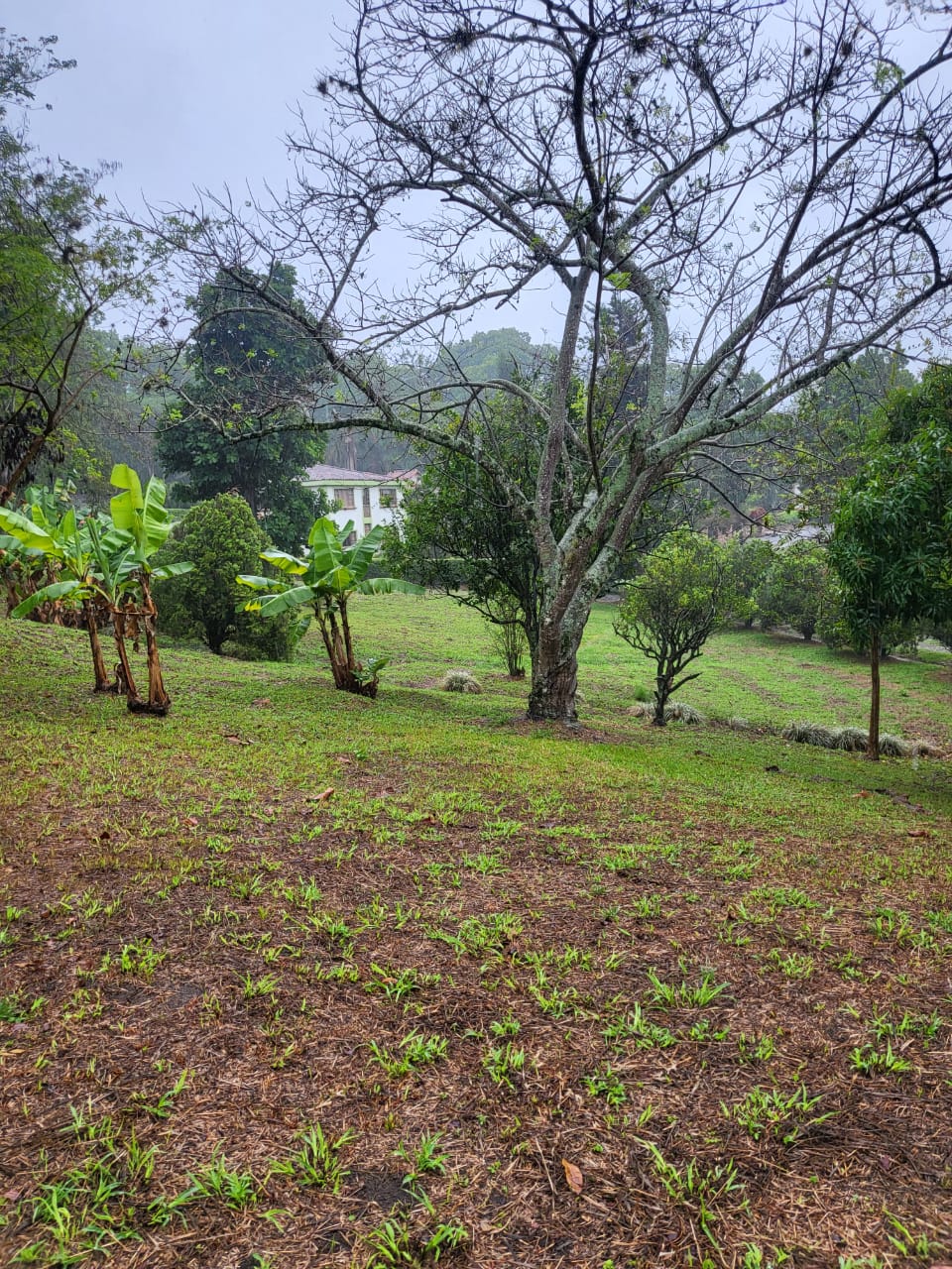 Lote en venta en Ruitoque, Piedecuesta, 1465 m² · foto 11 de 19