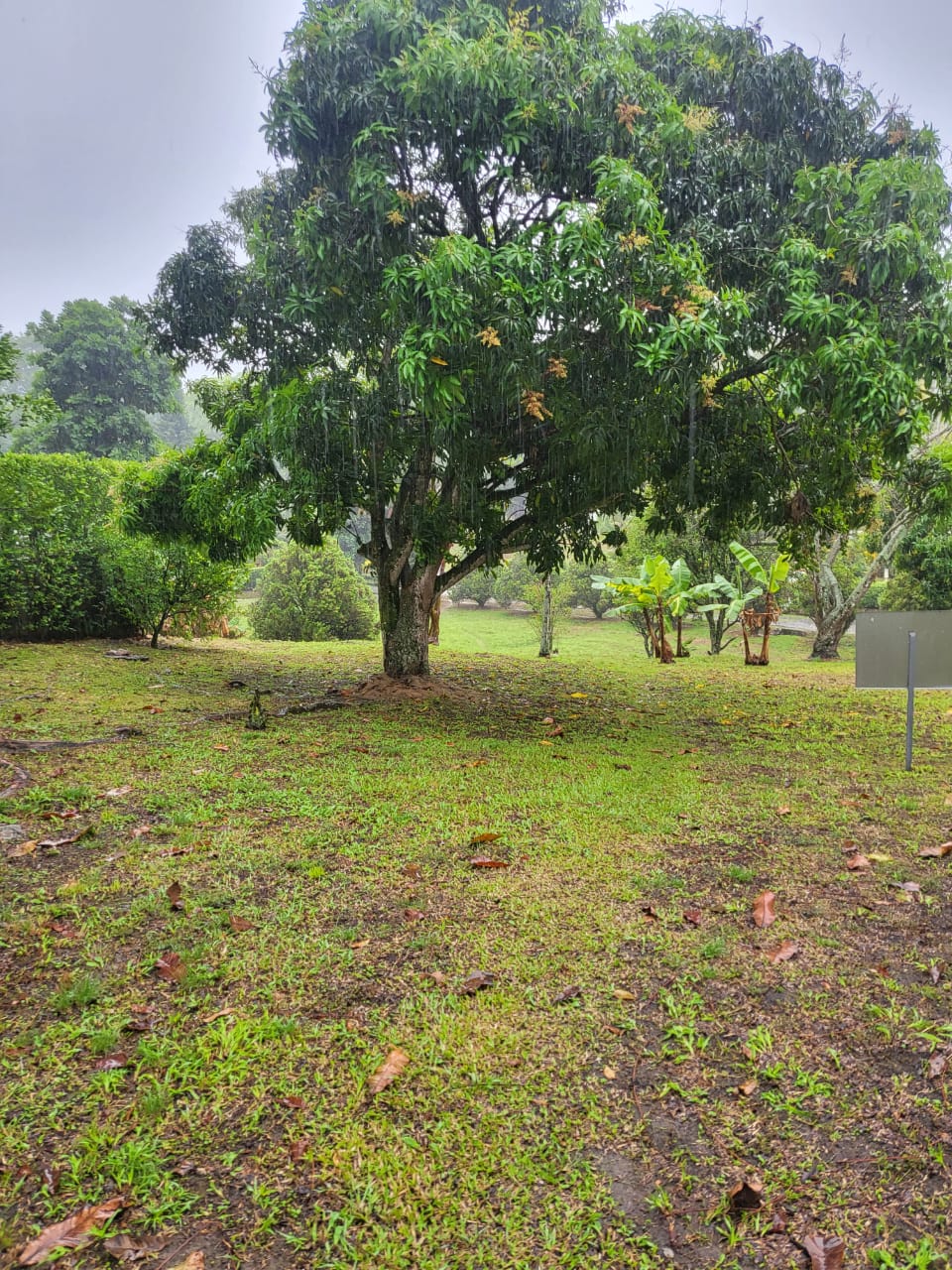 Lote en venta en Ruitoque, Piedecuesta, 1465 m² · foto 14 de 19