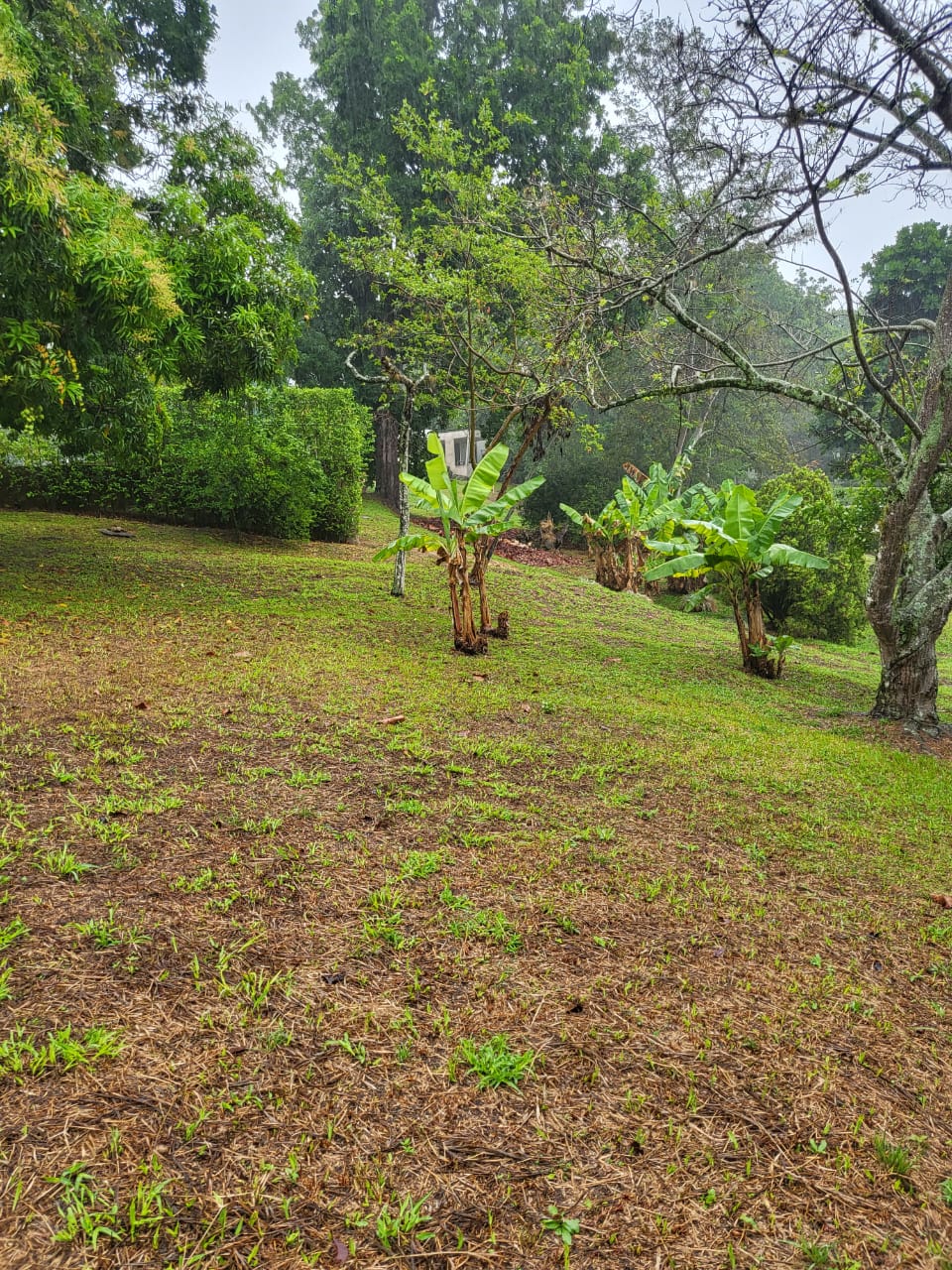 Lote en venta en Ruitoque, Piedecuesta, 1465 m² · foto 15 de 19