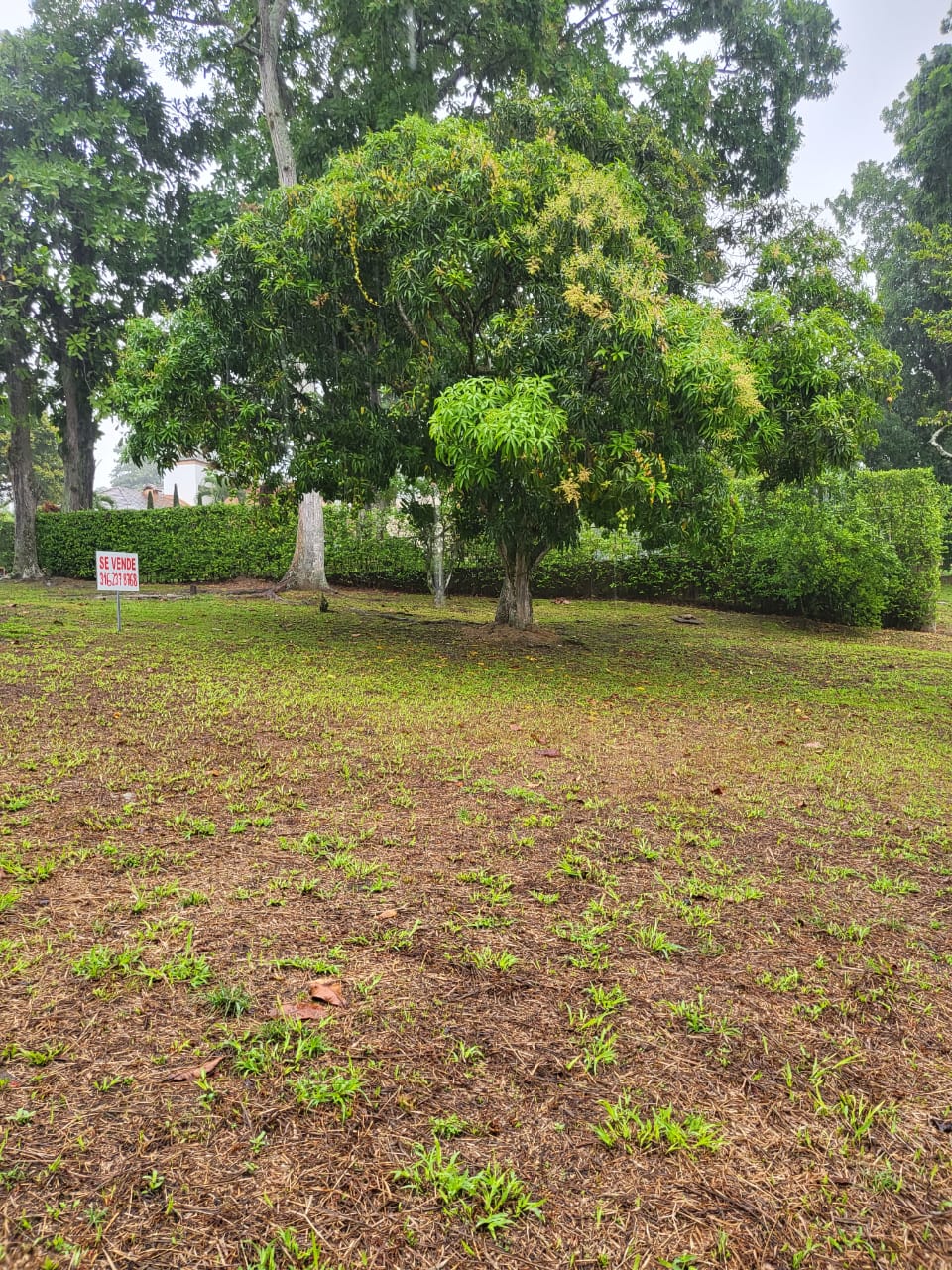 Lote en venta en Ruitoque, Piedecuesta, 1465 m² · foto 16 de 19