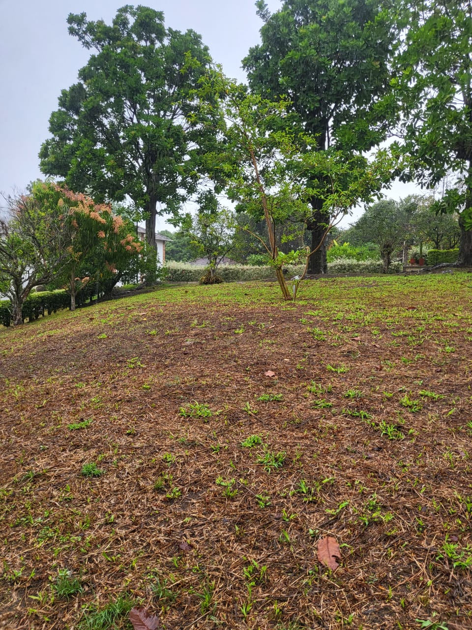 Lote en venta en Ruitoque, Piedecuesta, 1465 m² · foto 17 de 19