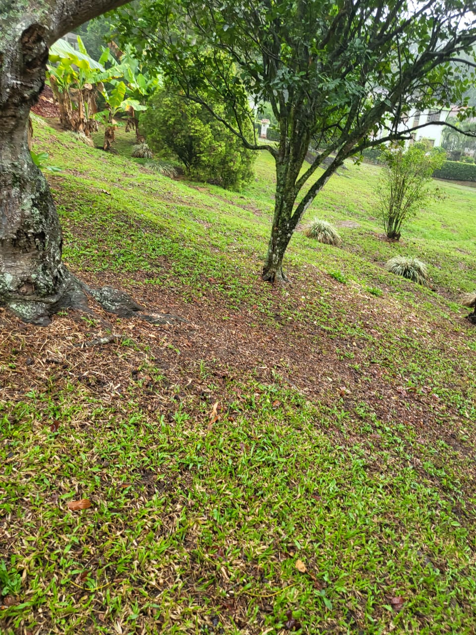 Lote en venta en Ruitoque, Piedecuesta, 1465 m² · foto 18 de 19
