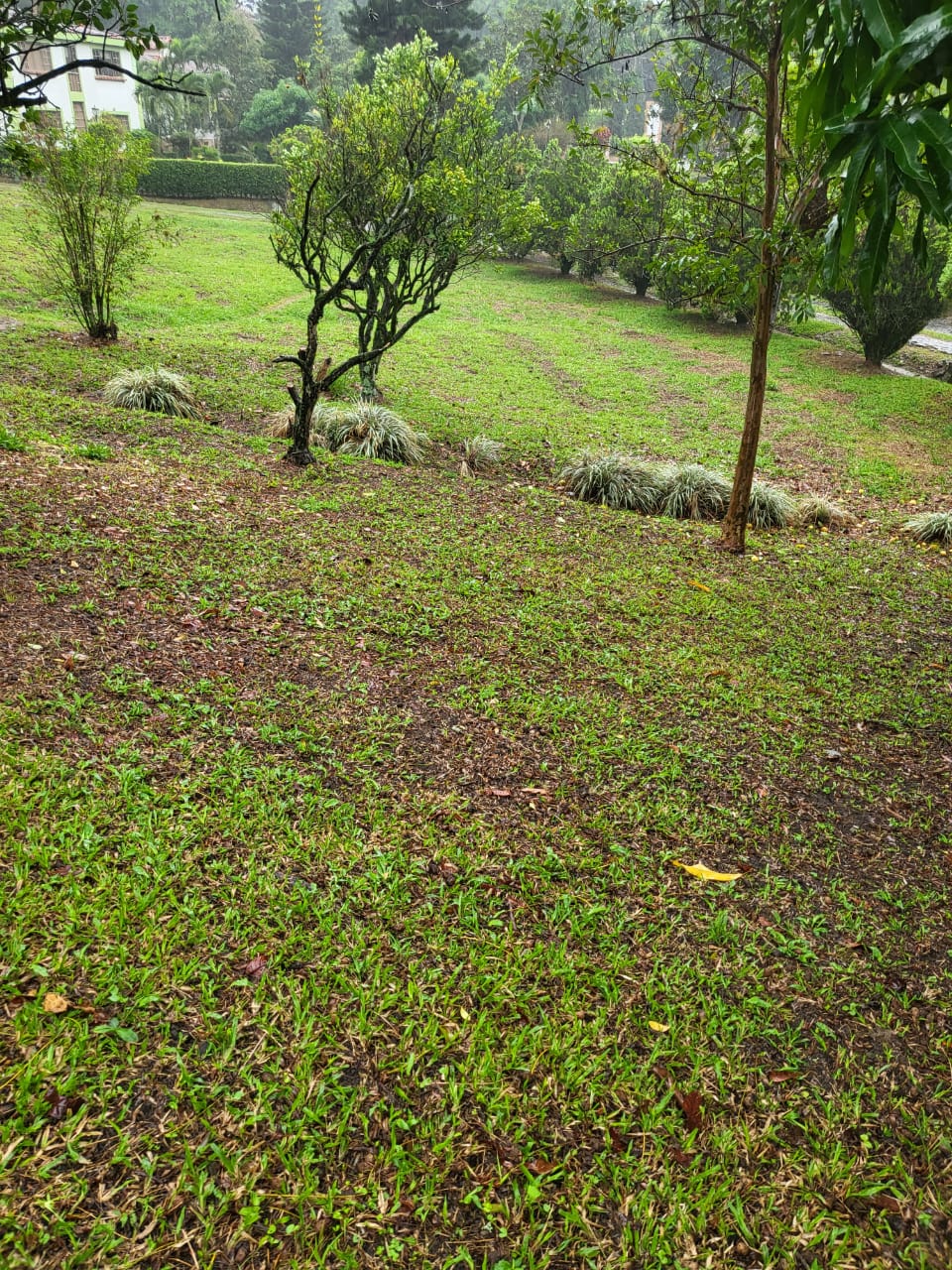 Lote en venta en Ruitoque, Piedecuesta, 1465 m² · foto 19 de 19