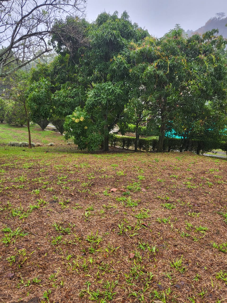 Lote en venta en Ruitoque, Piedecuesta, 1465 m² · foto 6 de 19