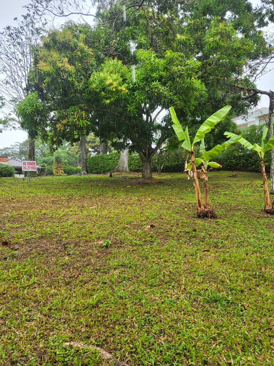 Lote en venta en Ruitoque, Piedecuesta, 1465 m² · foto 8 de 19