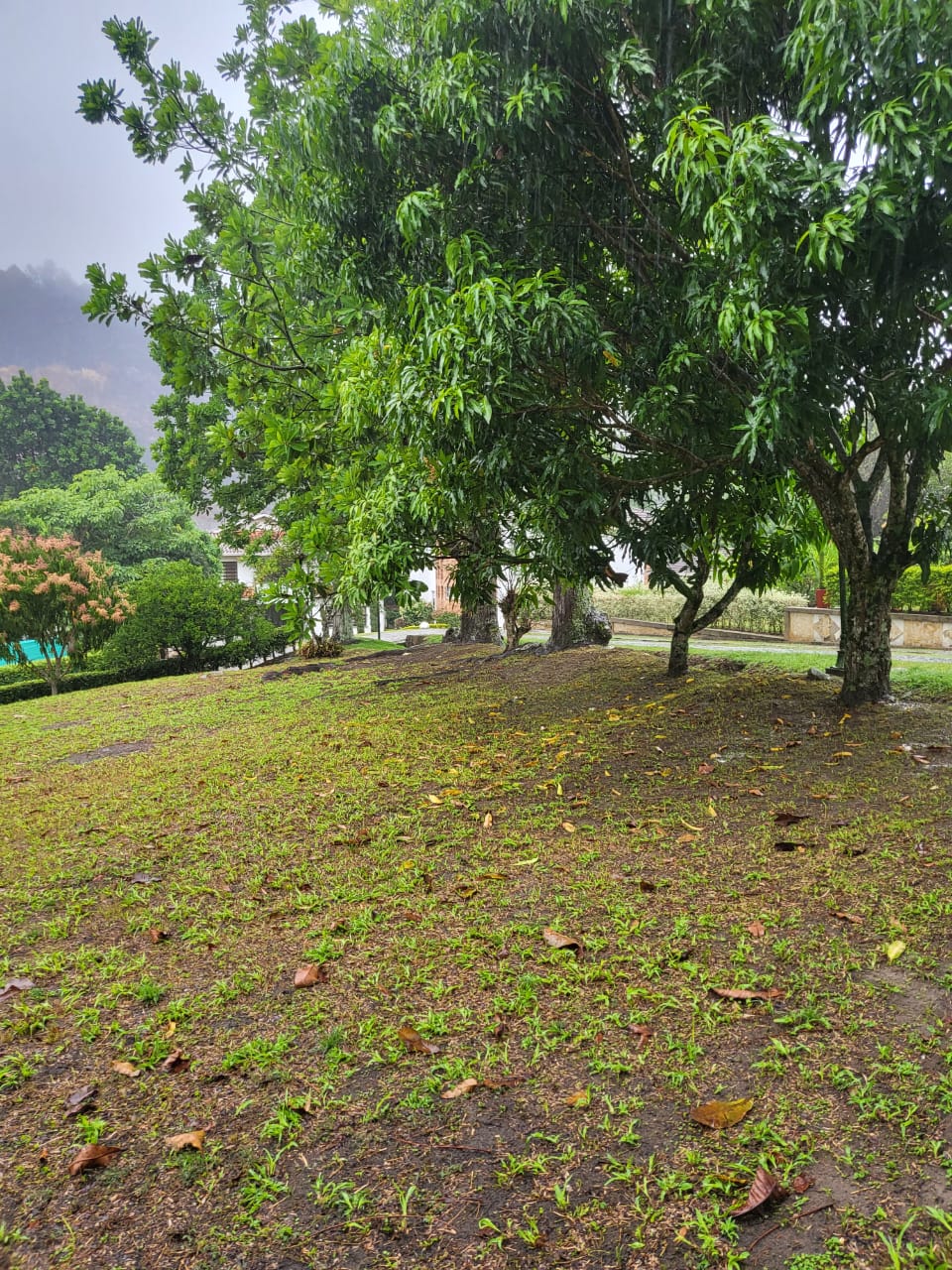 Lote en venta en Ruitoque, Piedecuesta, 1465 m² · foto 9 de 19