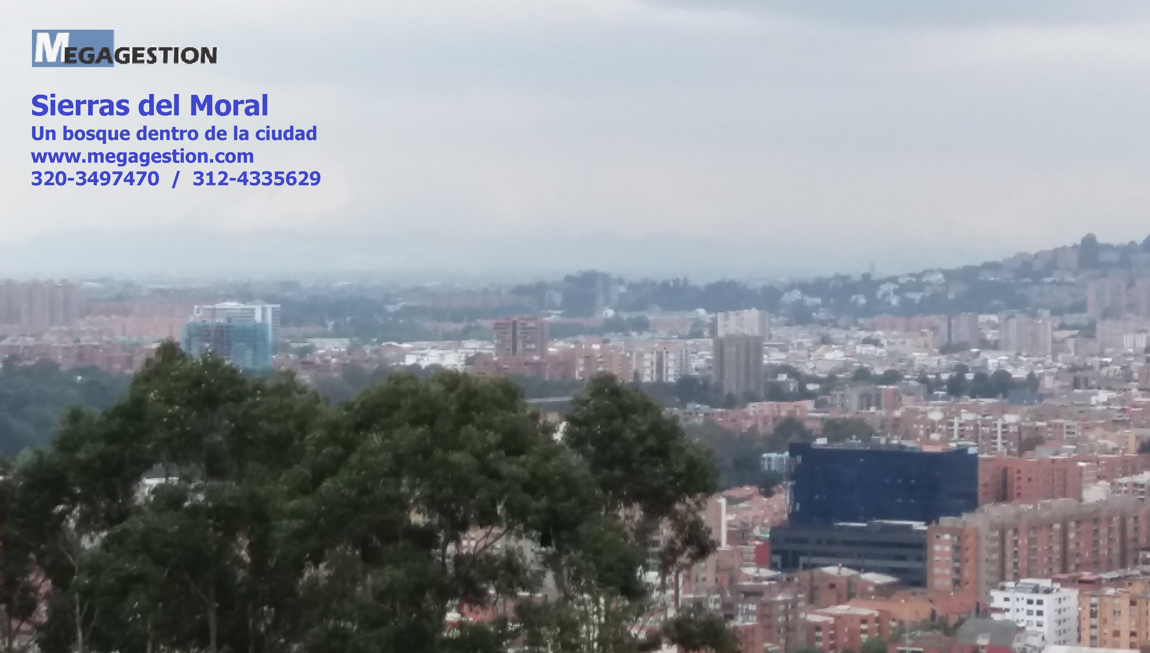 Apartamento de 3 alcobas en venta en Sierras Del Moral, Bogotá, 220 m² · foto 18 de 24