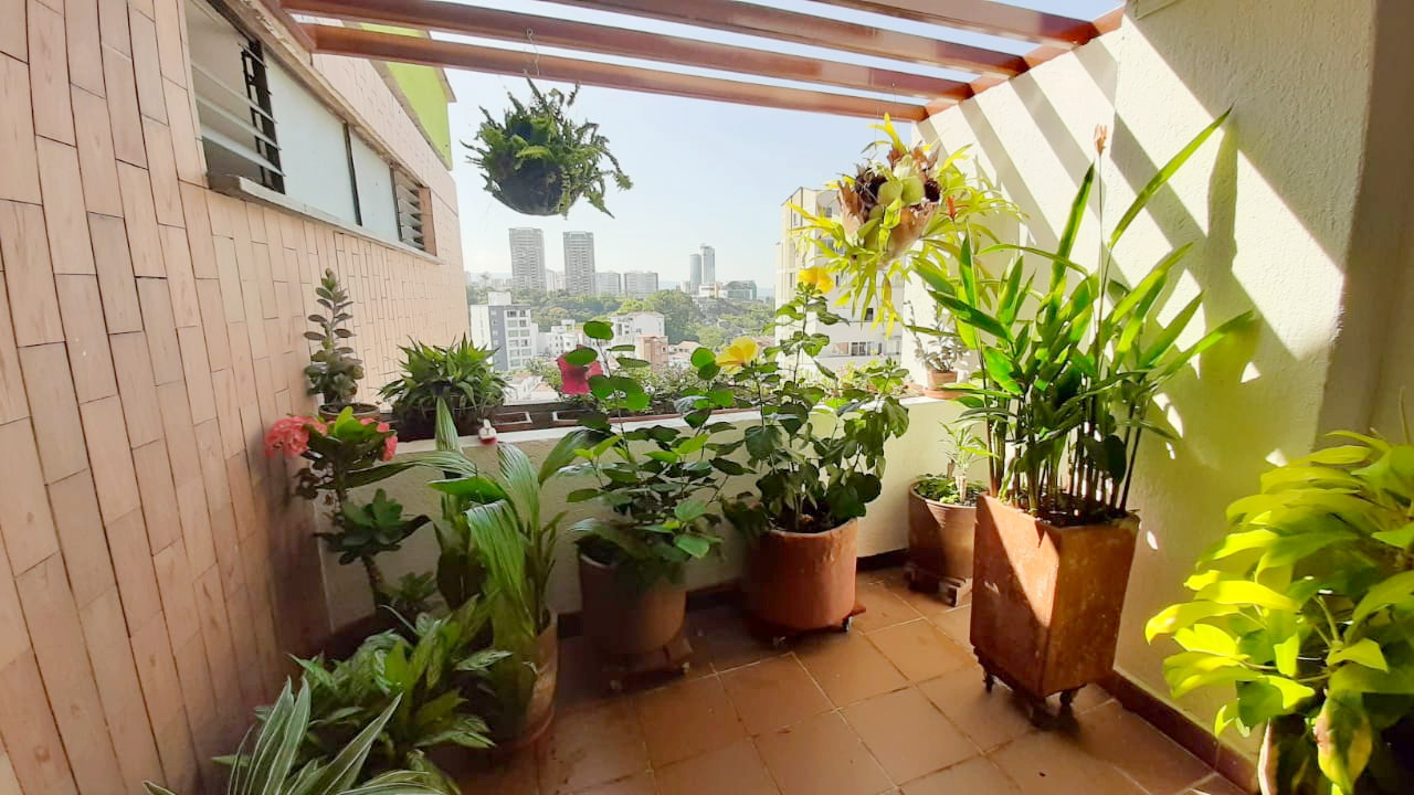Apartamento de 5 alcobas en venta en La Floresta, Bucaramanga, 240 m² · foto 3 de 17