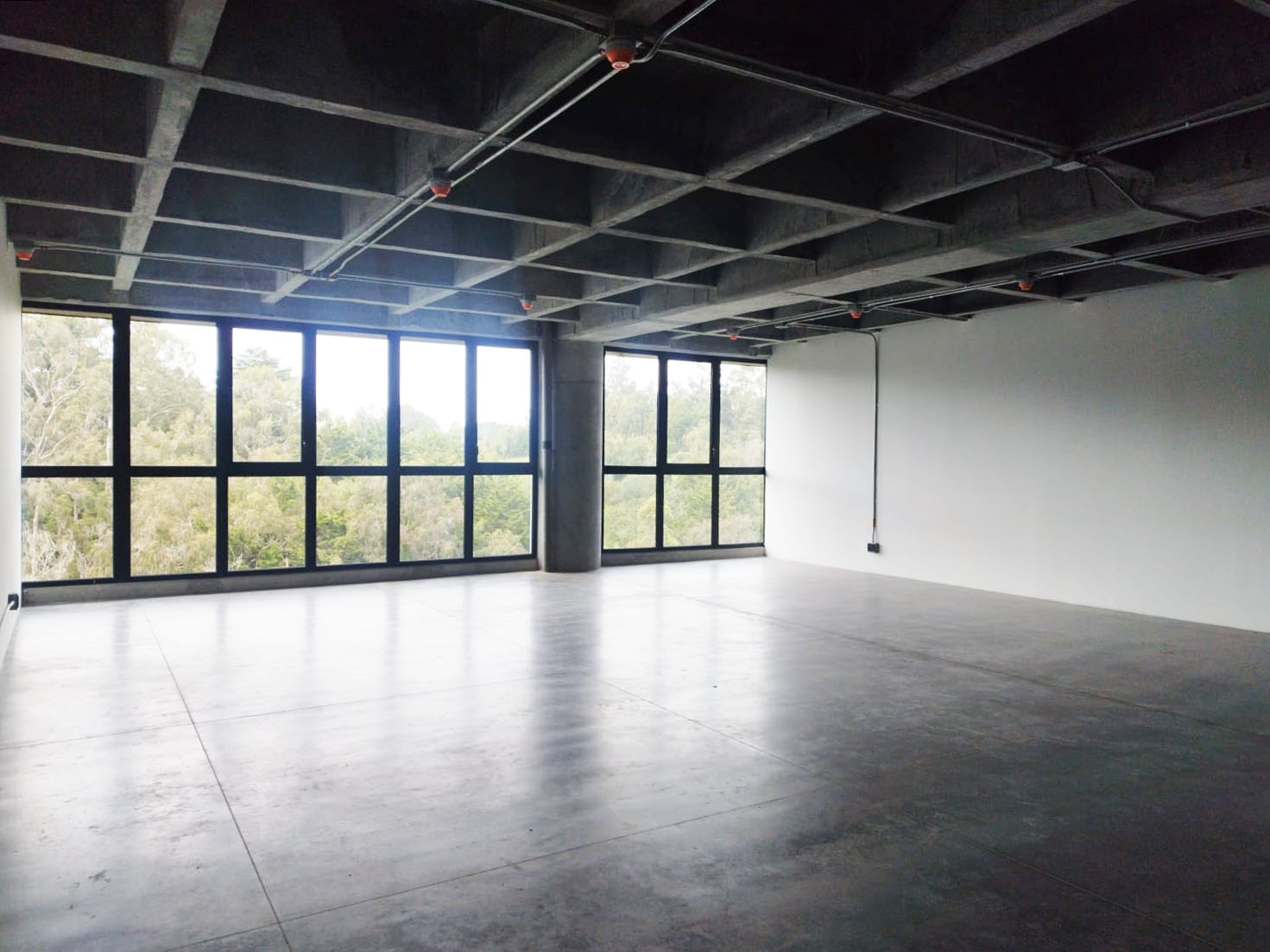 Oficina en arriendo en Vía Las Palmas, Envigado, 161 m² · foto 3 de 9