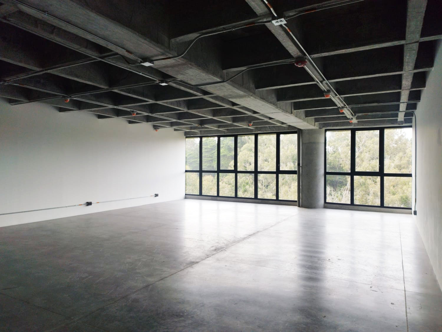 Oficina en arriendo en Vía Las Palmas, Envigado, 161 m² · foto 4 de 9