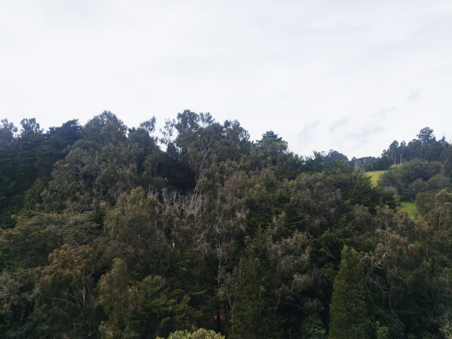 Oficina en arriendo en Vía Las Palmas, Envigado, 161 m² · foto 9 de 9