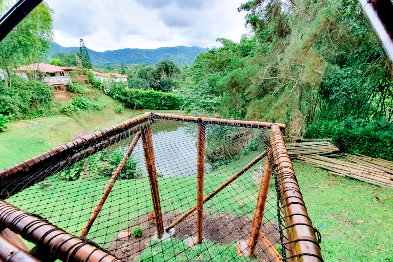 Finca en venta en Combia Baja, Pereira, 20000 m² · foto 15 de 24