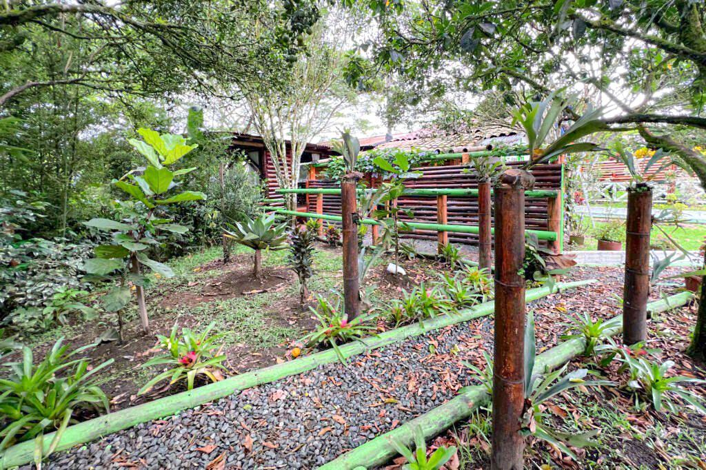 Finca en venta en Combia Baja, Pereira, 20000 m² · foto 16 de 24