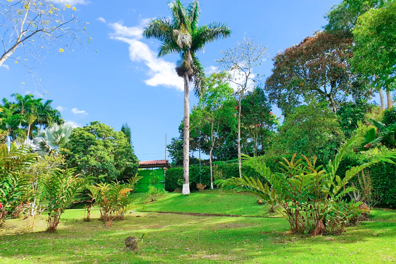 Finca en venta en Combia Baja, Pereira, 20000 m² · foto 17 de 24