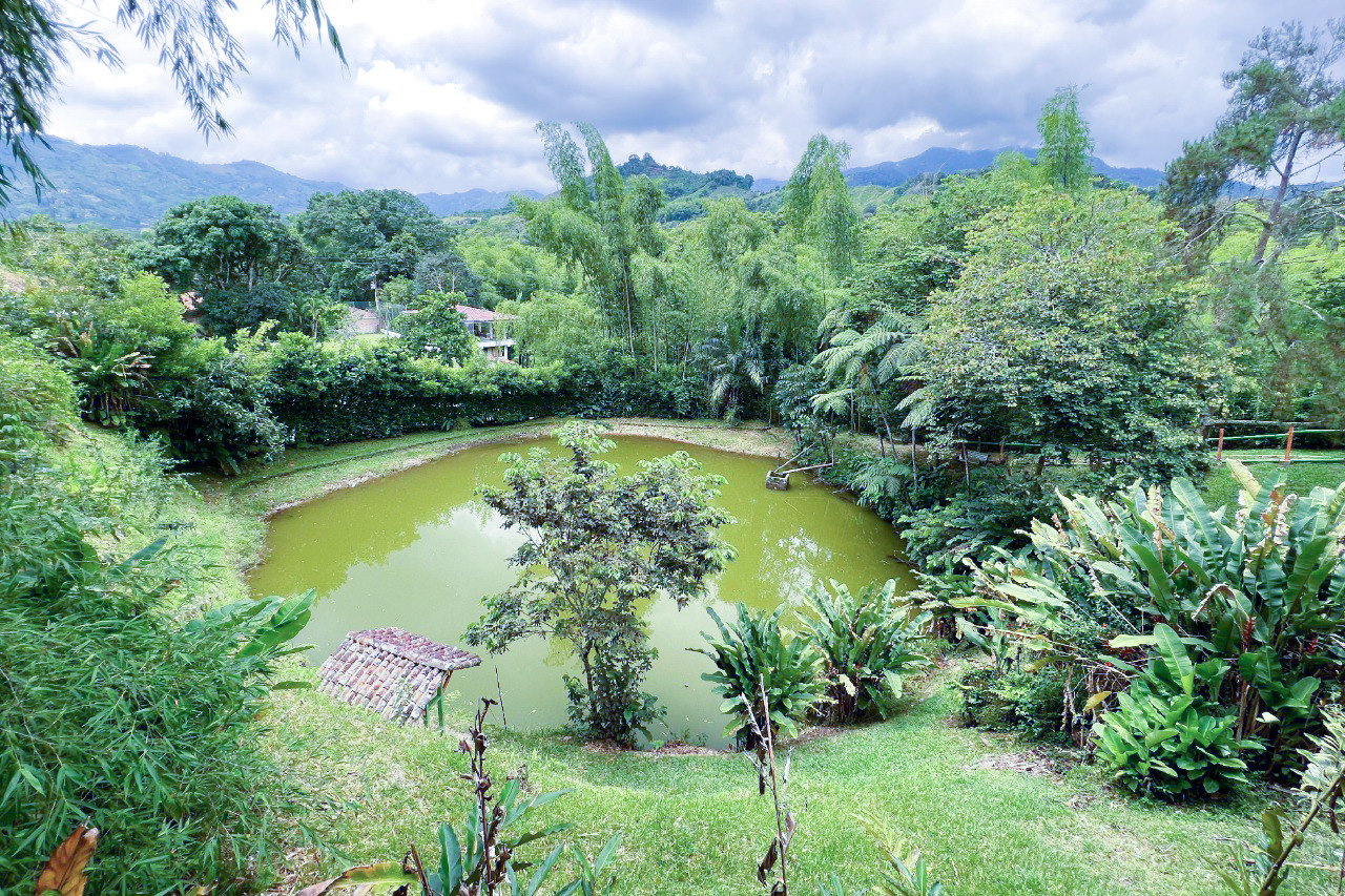 Finca en venta en Combia Baja, Pereira, 20000 m² · foto 18 de 24