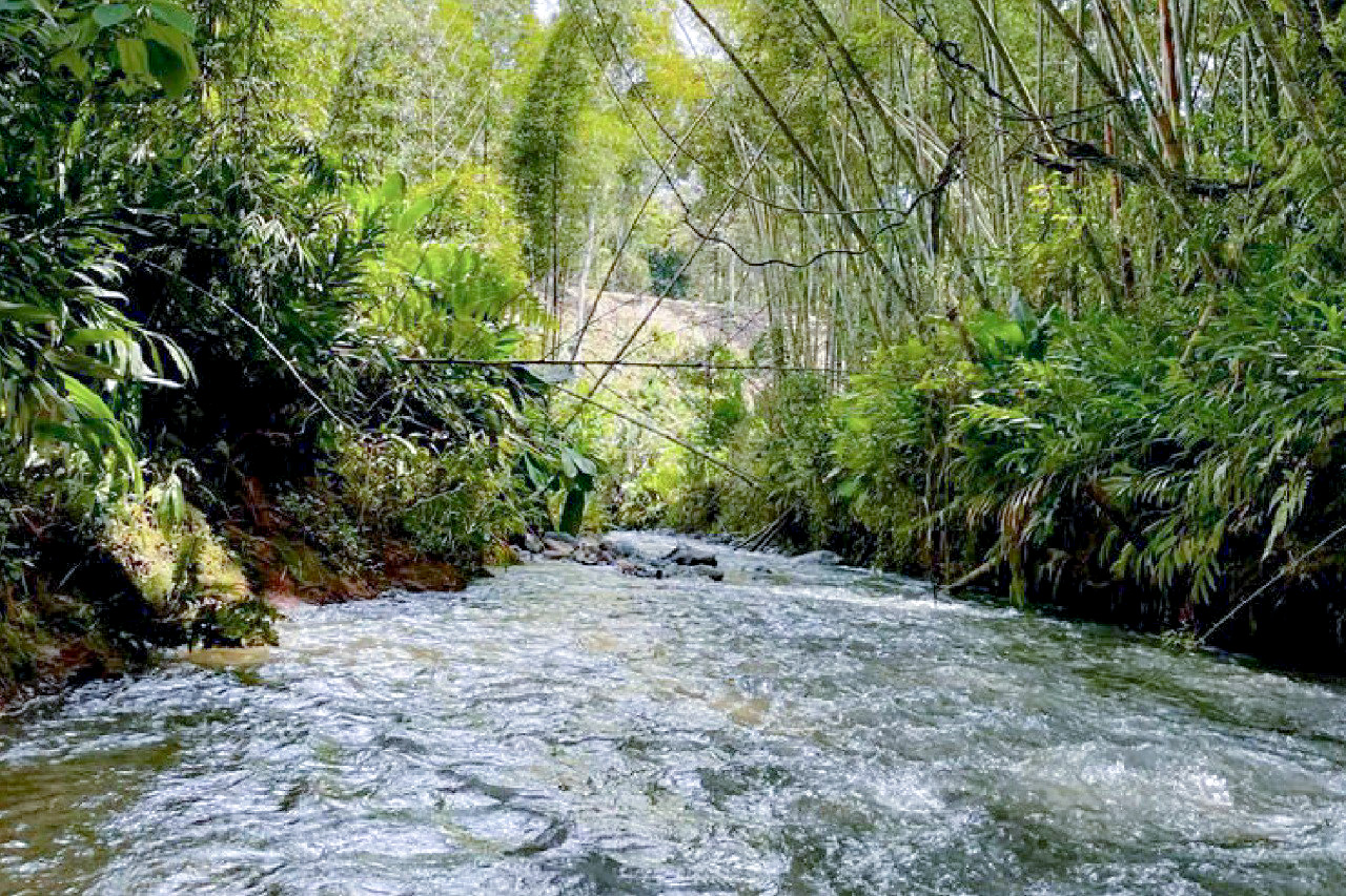 Finca en venta en Combia Baja, Pereira, 20000 m² · foto 20 de 24