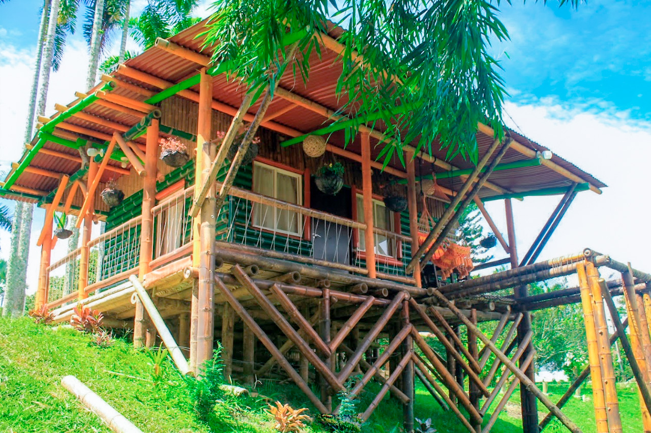 Finca en venta en Combia Baja, Pereira, 20000 m² · foto 6 de 24
