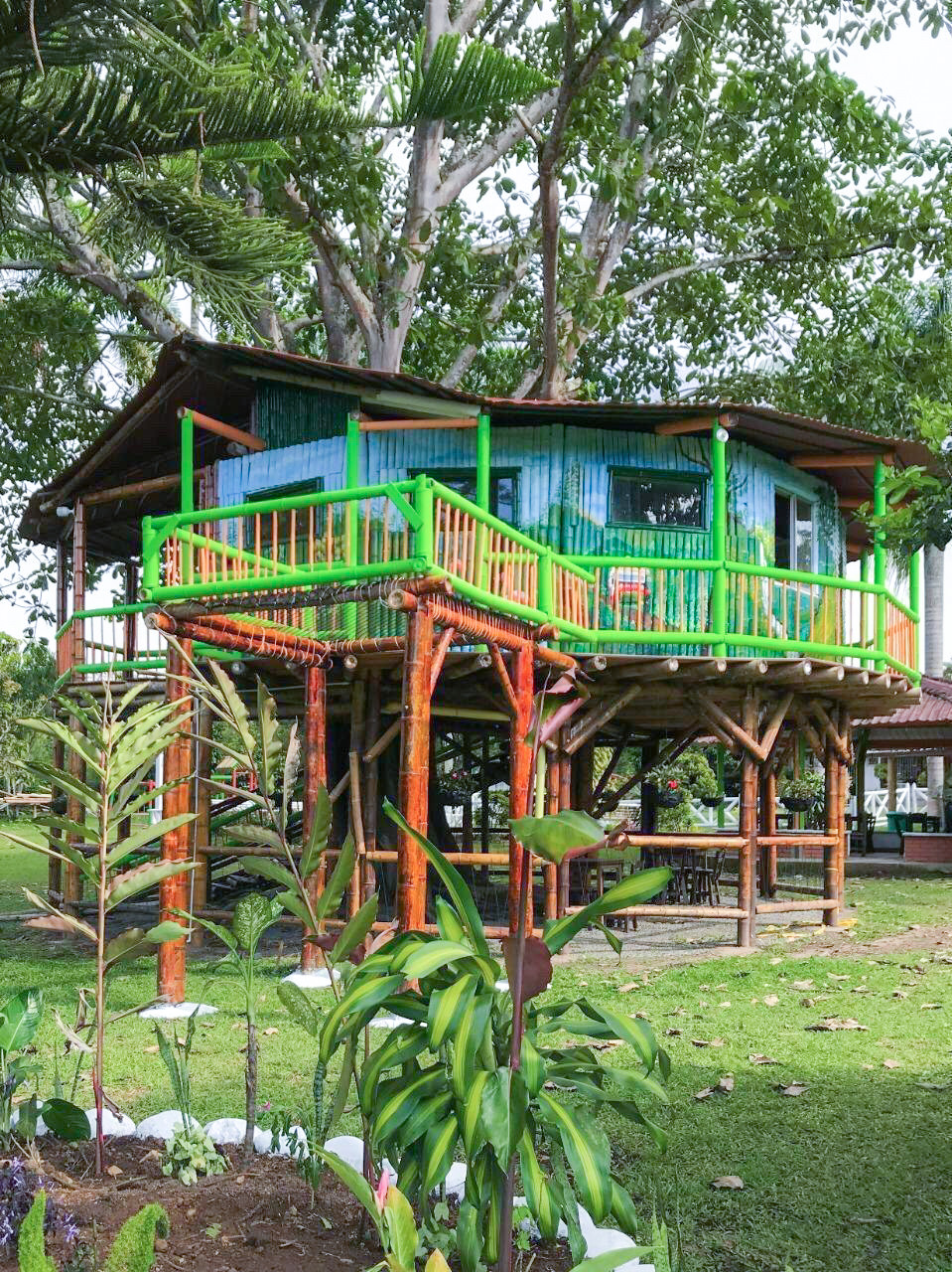 Finca en venta en Combia Baja, Pereira, 20000 m² · foto 8 de 24