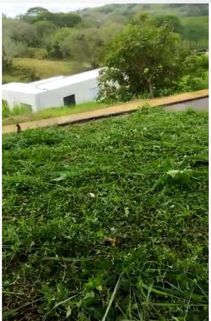 Lote en venta en Kilometro 41, Manizales, 1074 m² · foto 2 de 5