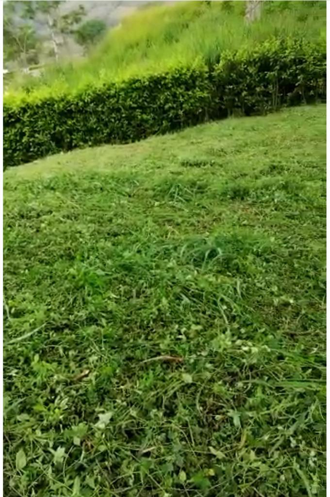 Lote en venta en Kilometro 41, Manizales, 1074 m² · foto 4 de 5