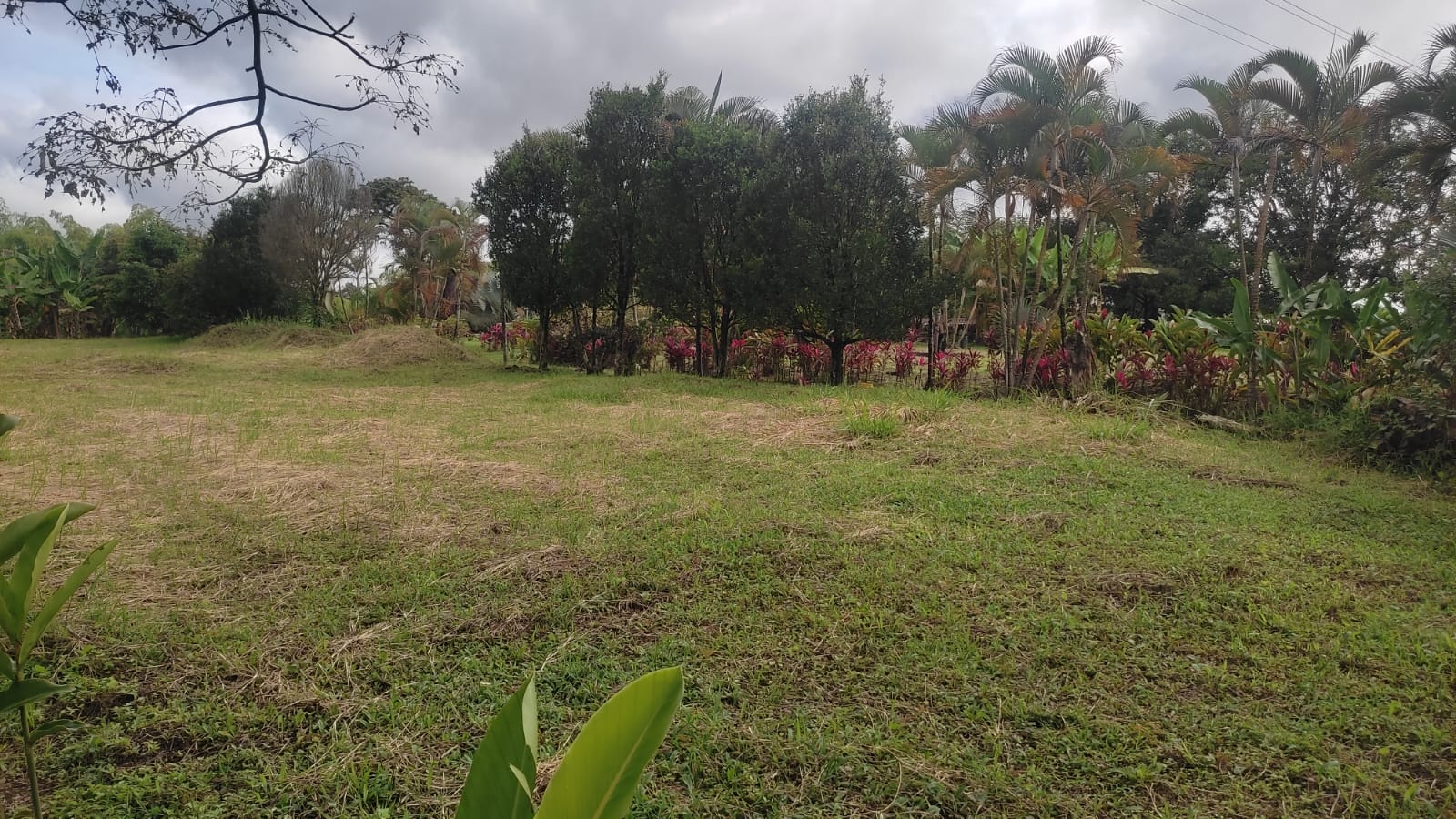 Lote en venta en Pueblo Tapao, Armenia, 3122 m² · foto 13 de 16