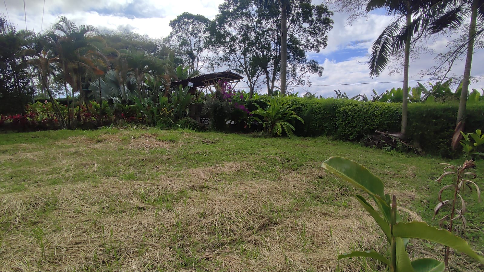 Lote en venta en Pueblo Tapao, Armenia, 3122 m² · foto 16 de 16